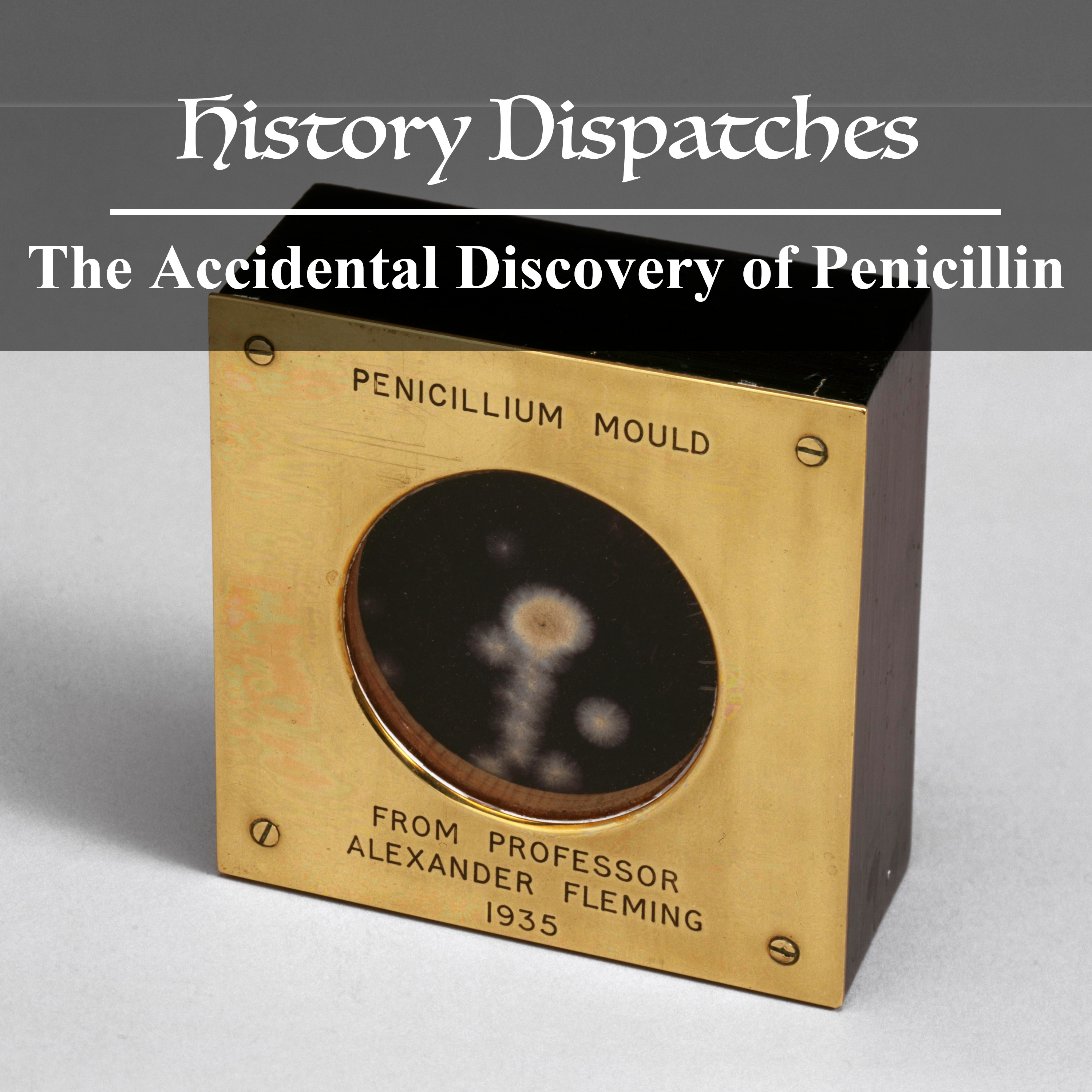 The Accidental Discovery of Penicillin