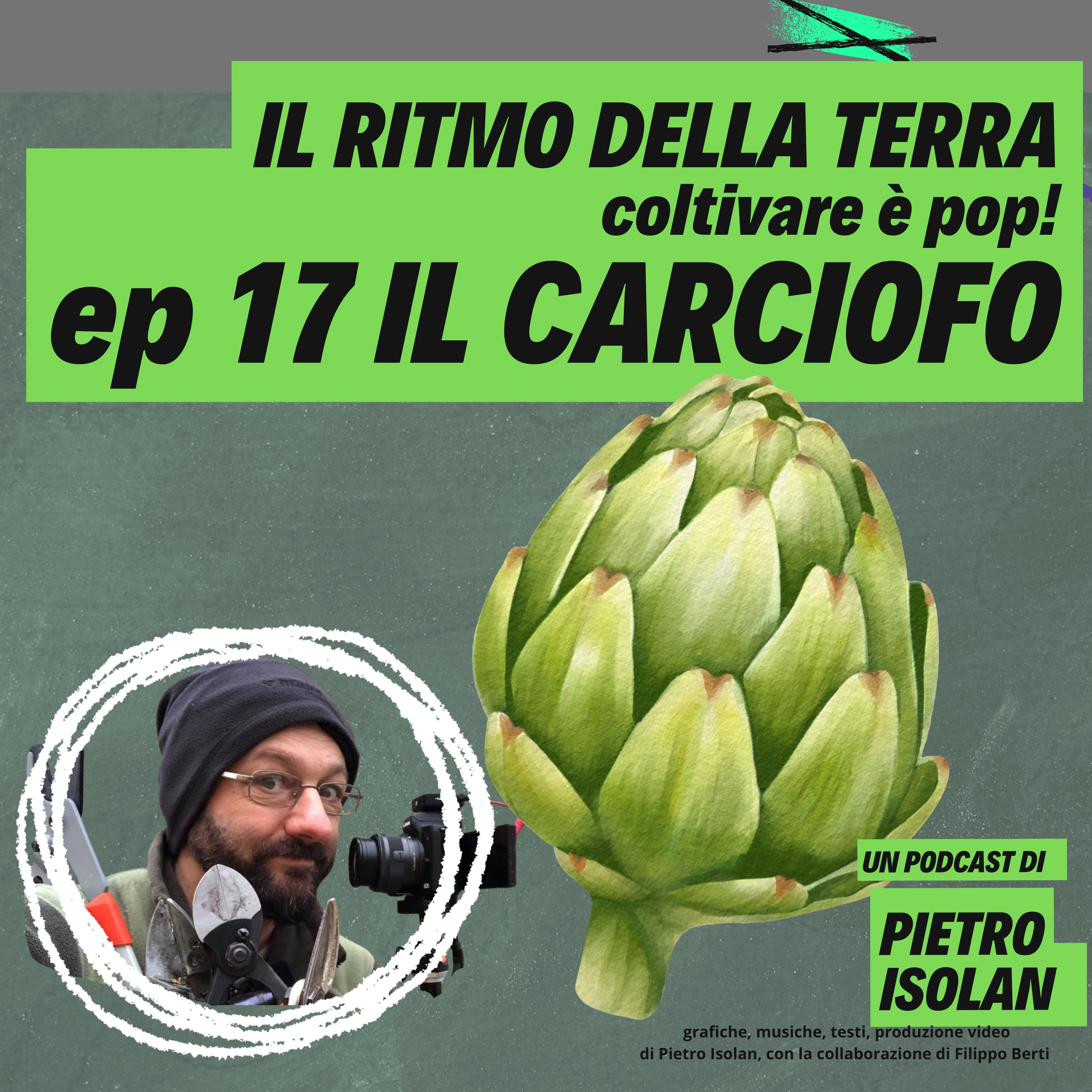 IL CARCIOFO - il ritmo della terra - coltivare è pop! - ep 17