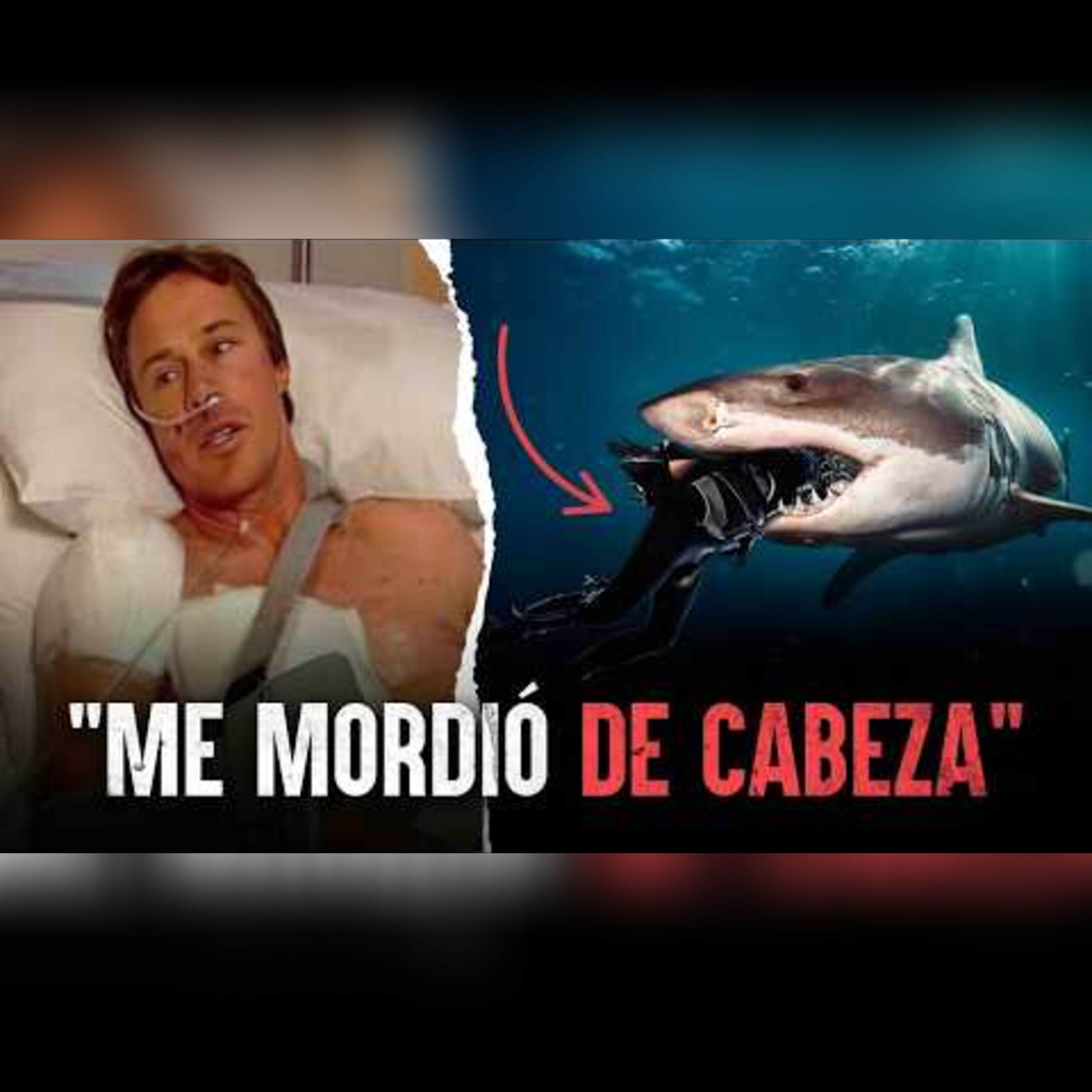 Tiburón vs. humanos: ataques captados en el instante exacto episode artwork