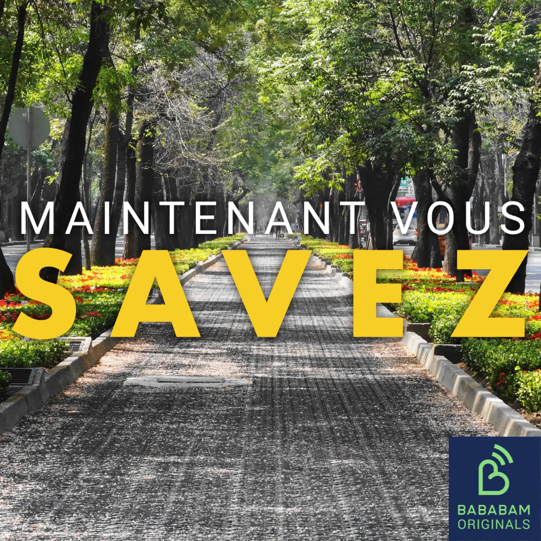 Les forêts urbaines permettent-elles vraiment de lutter contre le réchauffement climatique ?