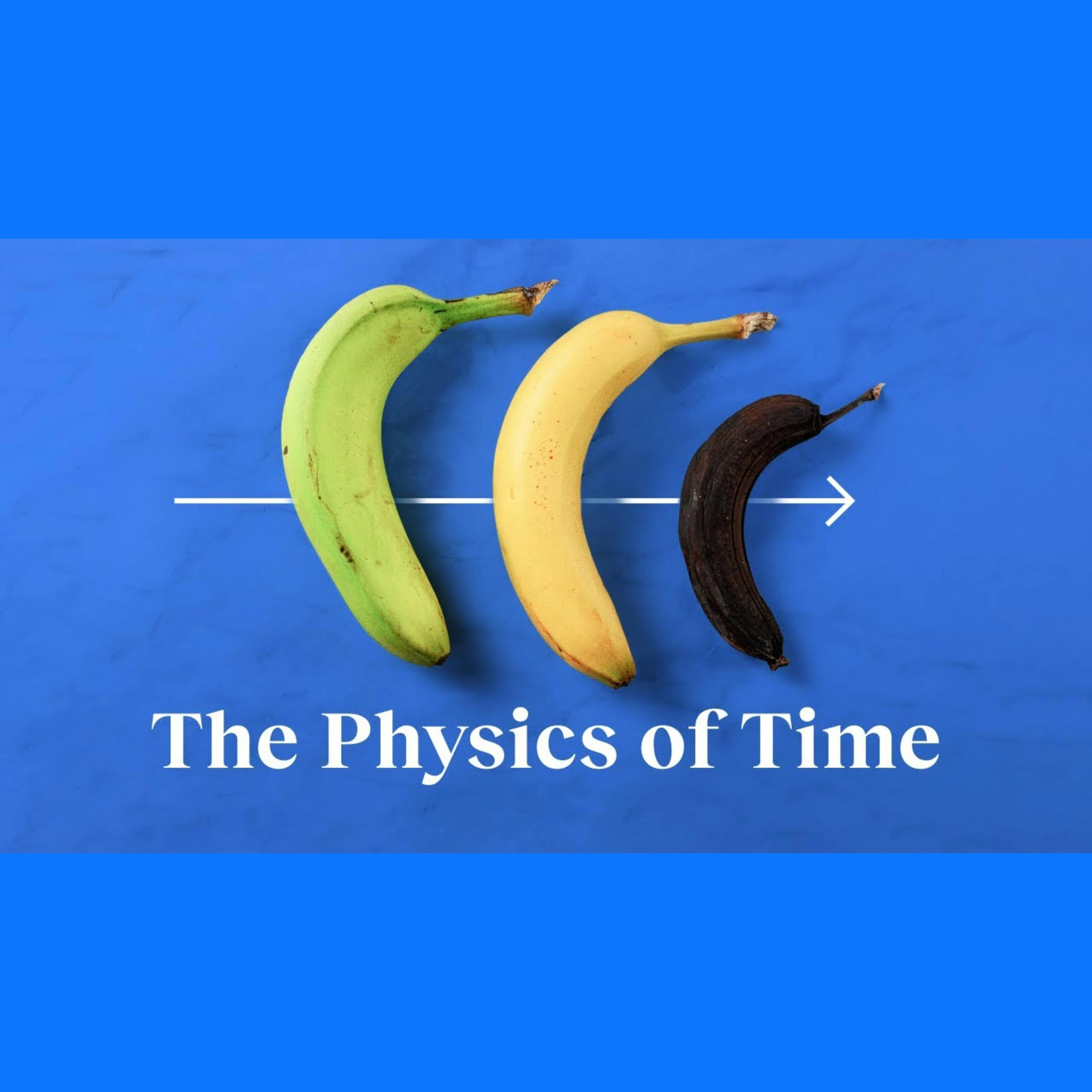 Physics: Are we forever trapped in the arrow of time? | Sabine Hossenfelder - BIGTHINK