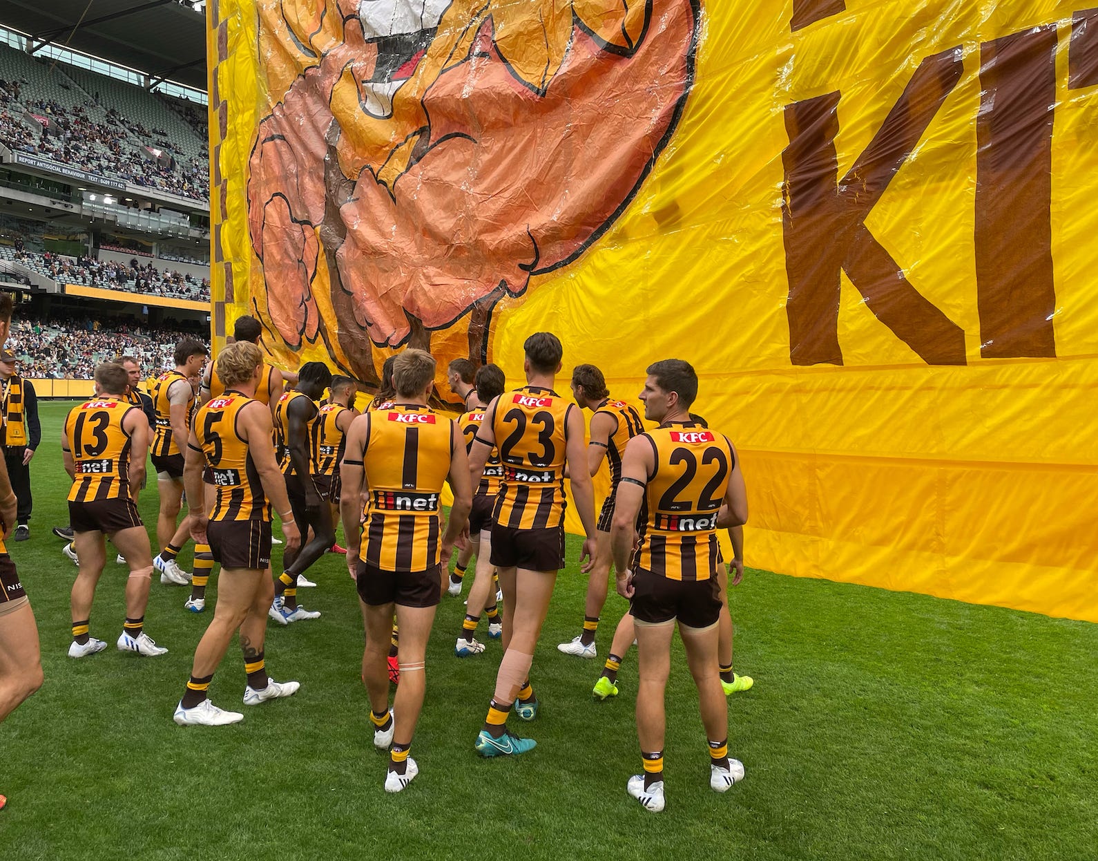 Player ratings: Hawks vs Cats (round 5) episode artwork