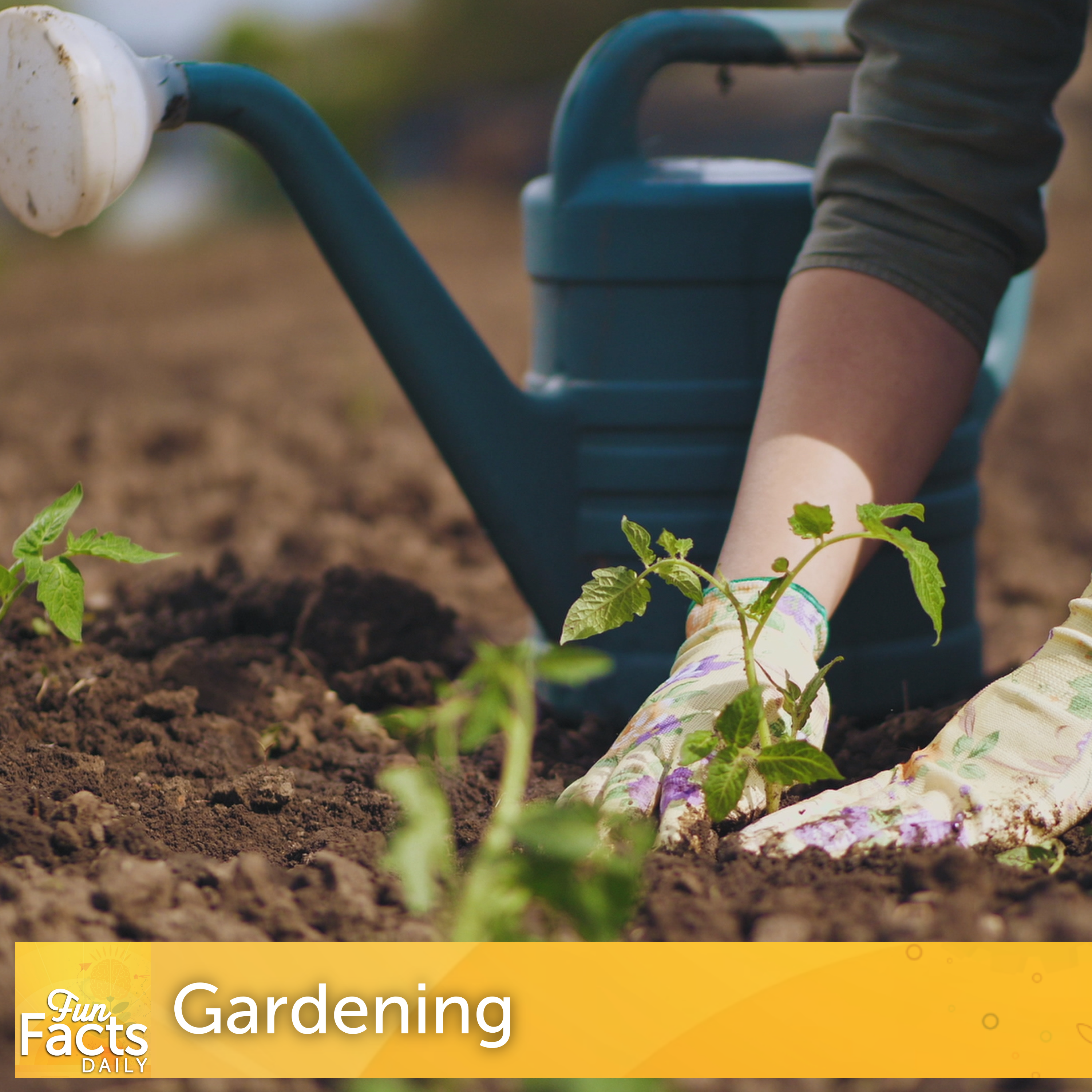 Fun Facts About Gardening