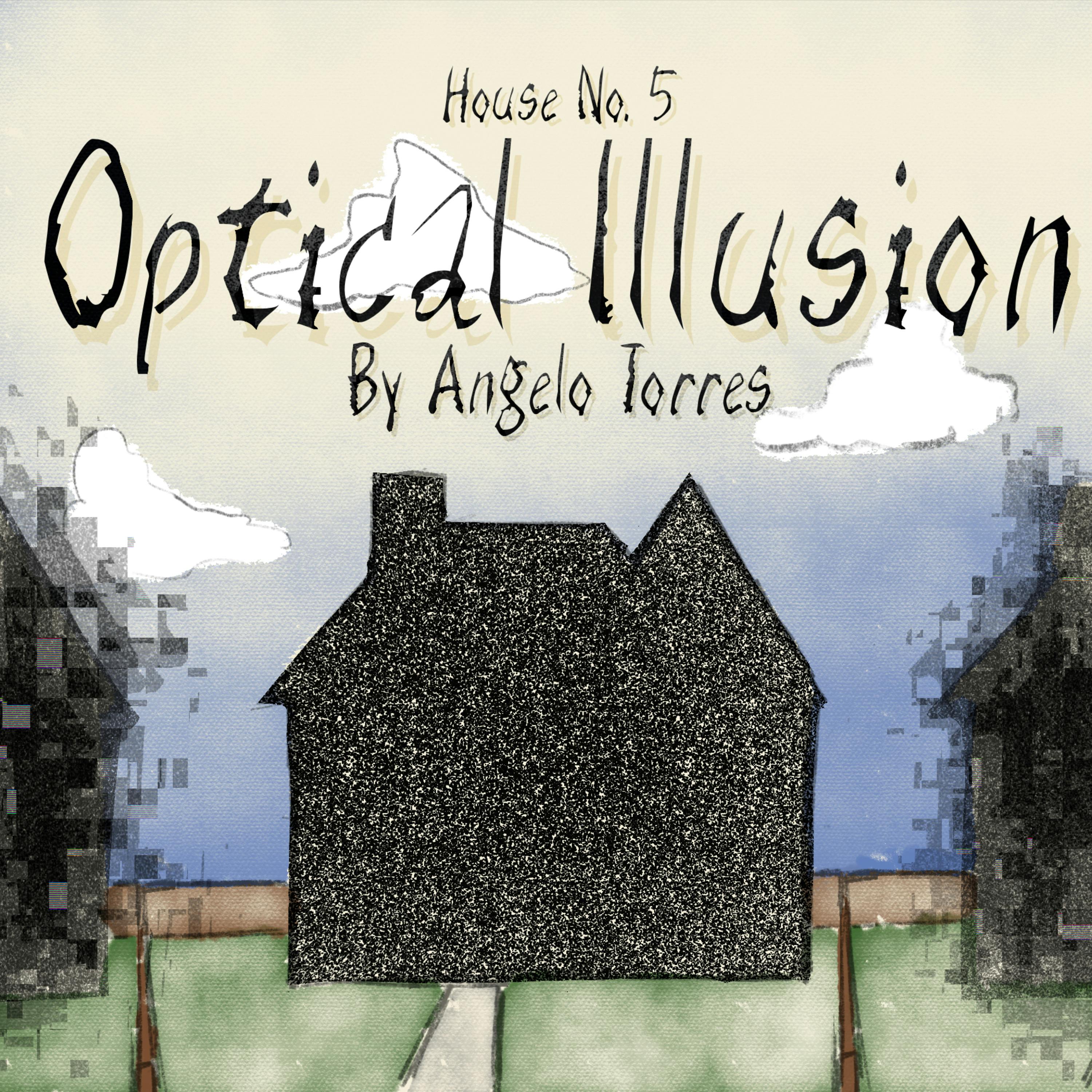House No. 5: Optical Illusion
