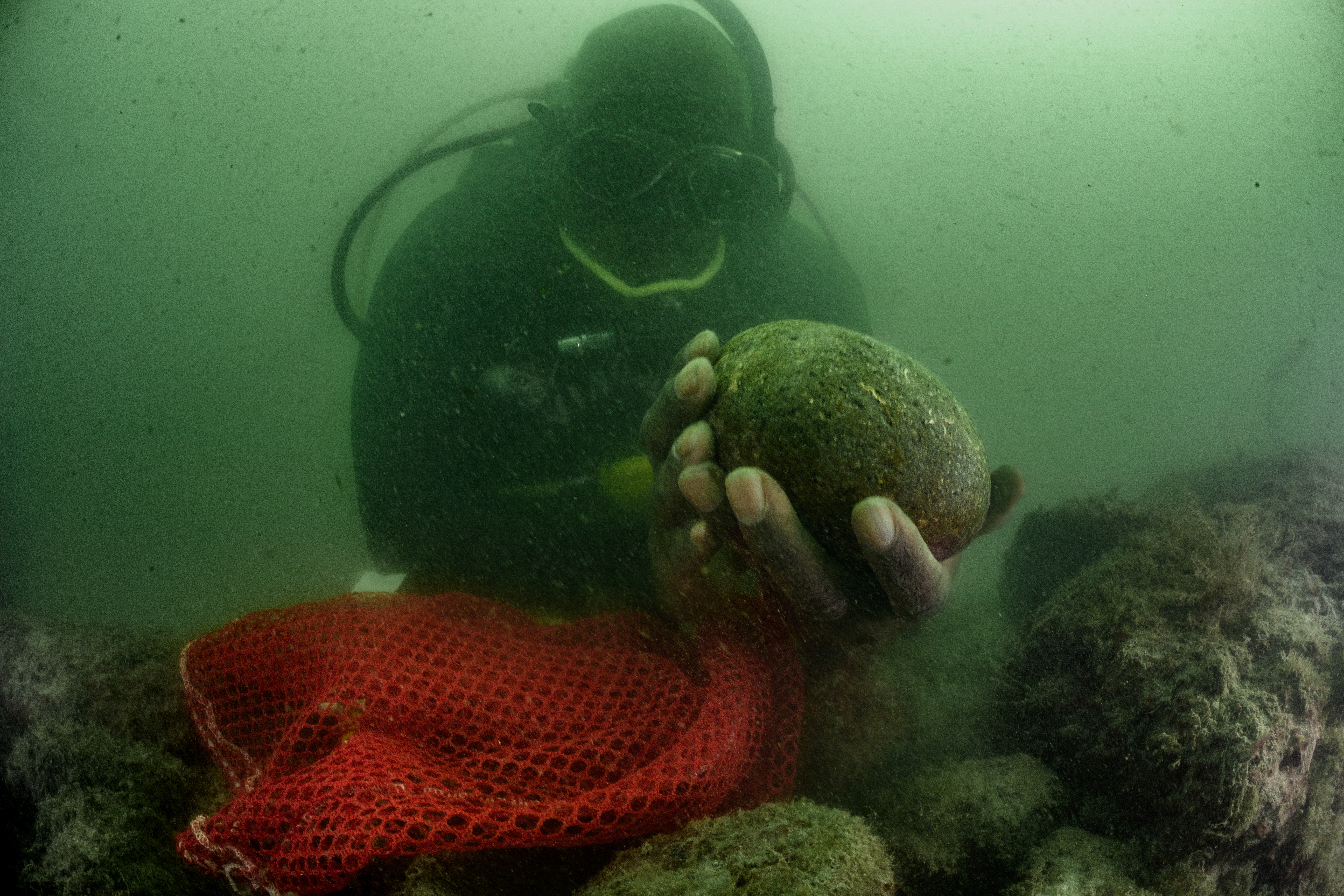 Overheard at National Geographic