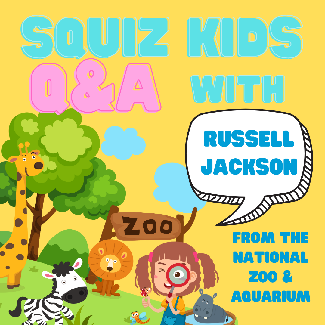 Squiz Kids Q+A - Russell Jackson, National Zoo + Aquarium