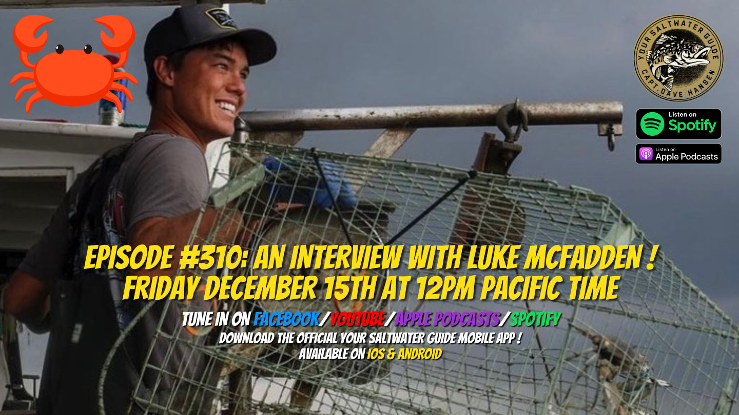 Episode #310: An Interview with Luke McFadden (Bodkin point seafood) !