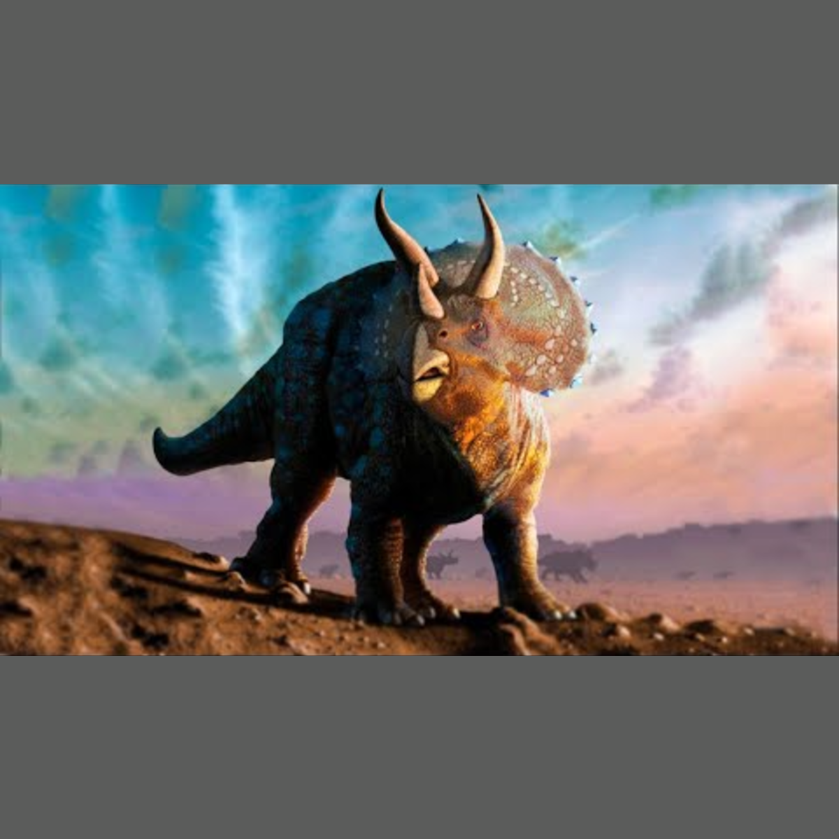 Triceratops - Ancient Animal episode artwork