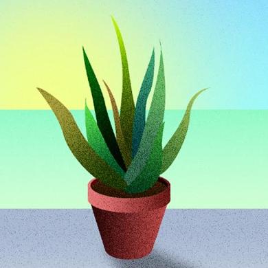 Norvegia, arriva l'obbligo per gli influencer di segnalare il photoshop