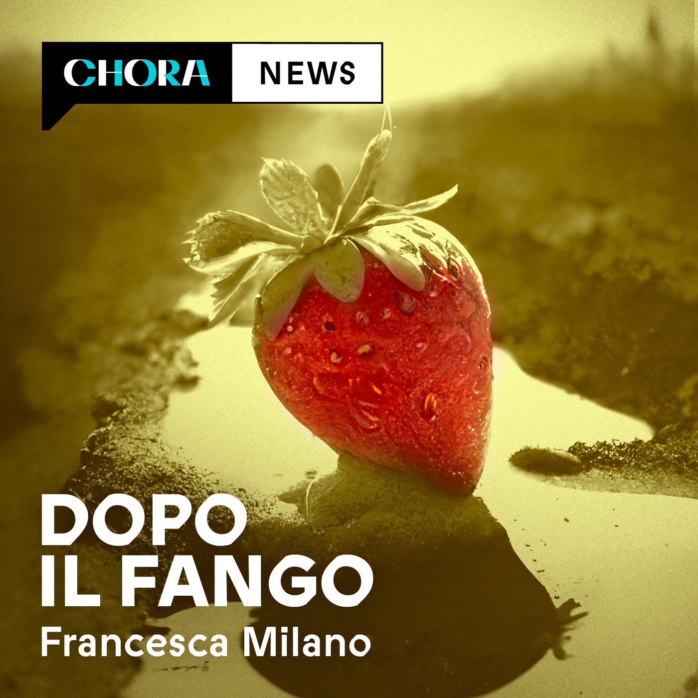 Dopo il fango - Trailer