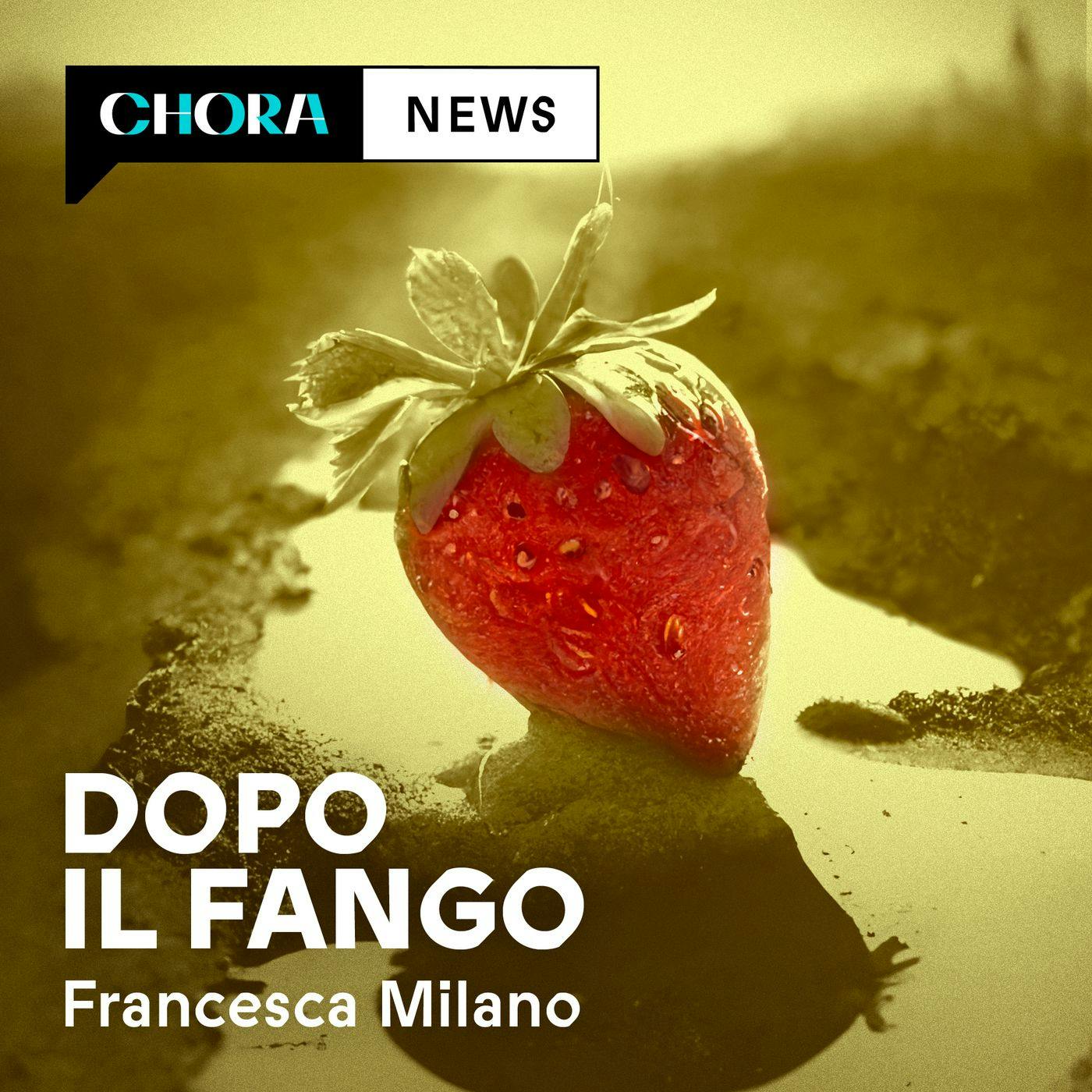 Dopo il fango - Trailer Dopo il fango - Trailer