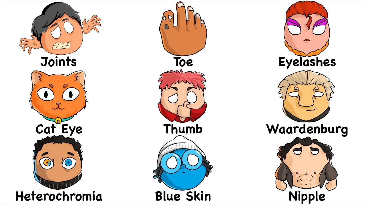 Every Rare Genetic Trait Explained in 16 Minutes | The Analyst episode artwork