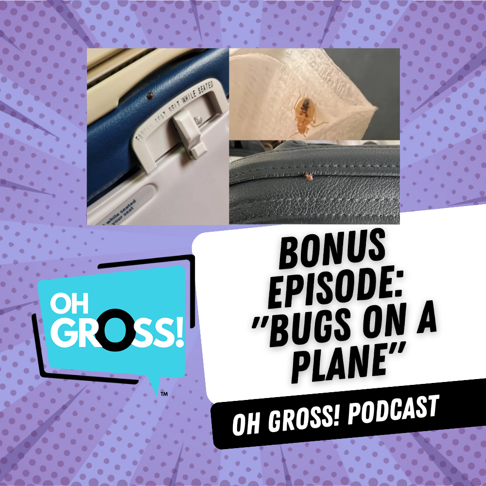 Bonus episode:  "Bugs On A Plane" episode artwork