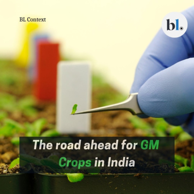 India and the road ahead for GM Crops
