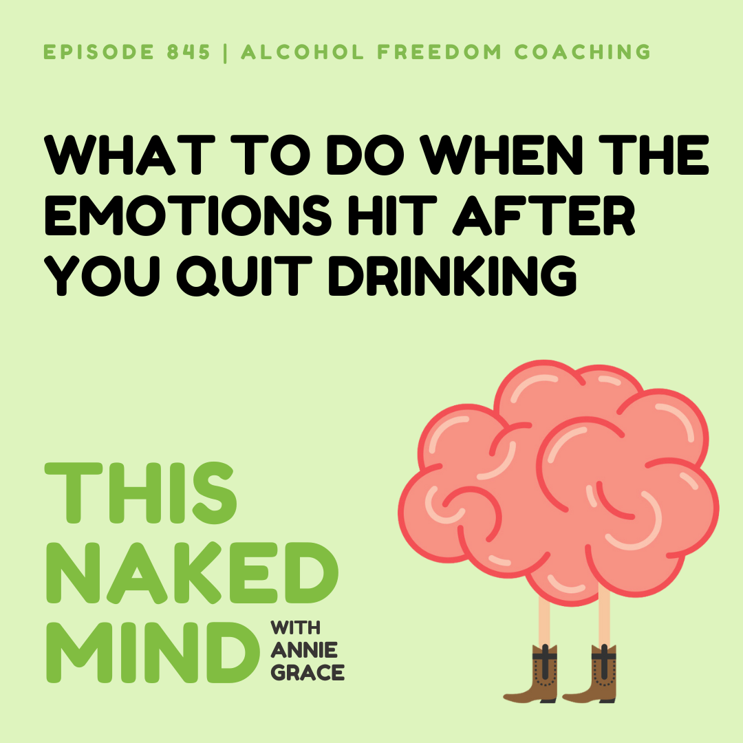 What To Do When The Emotions Hit After You Quit Drinking | Alcohol Freedom Coaching | E845