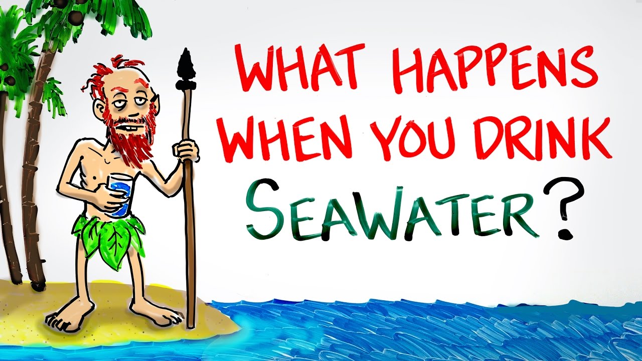What Happens When You Drink SeaWater? | After Skool
