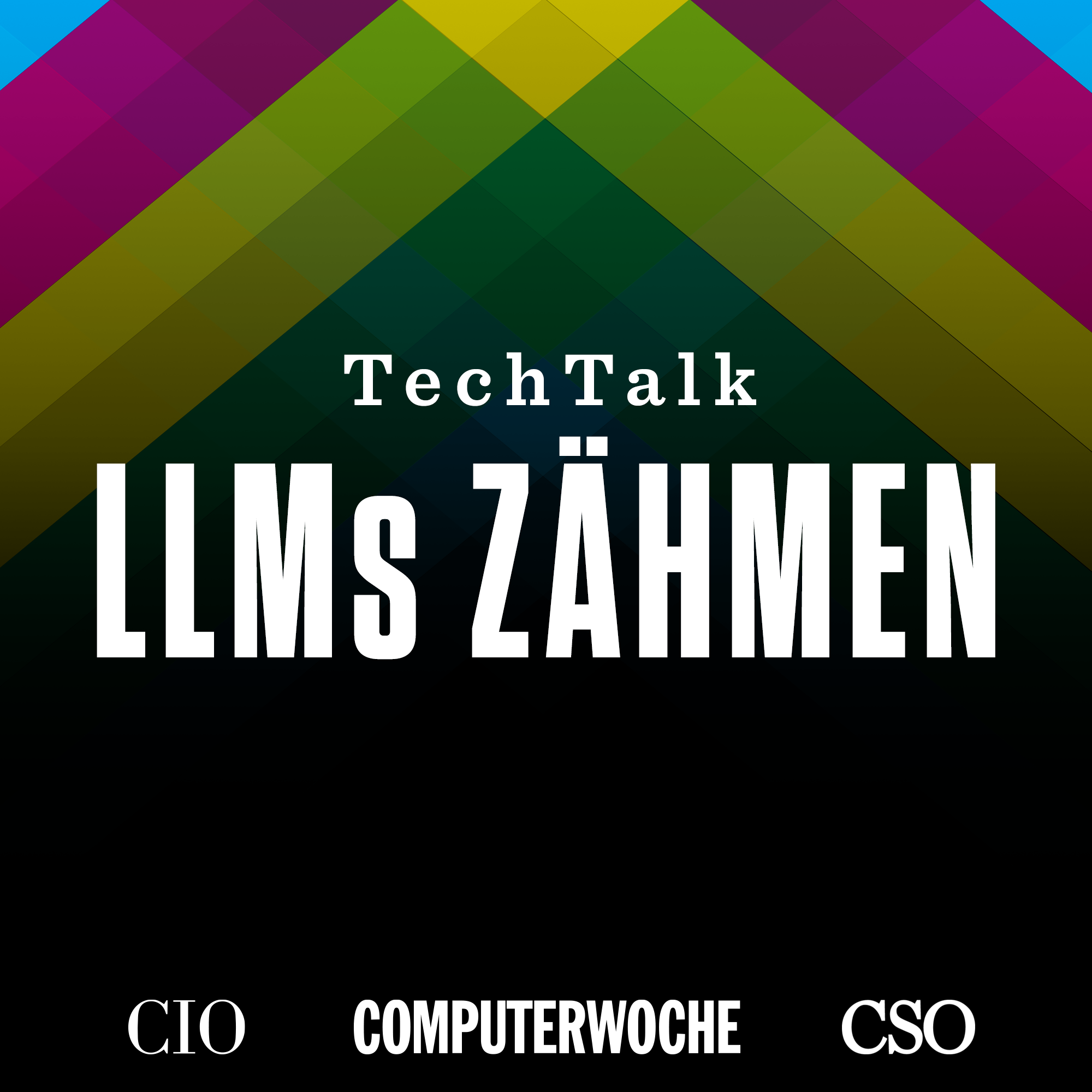 LLMs zähmen - mit Jana Richter, NFON