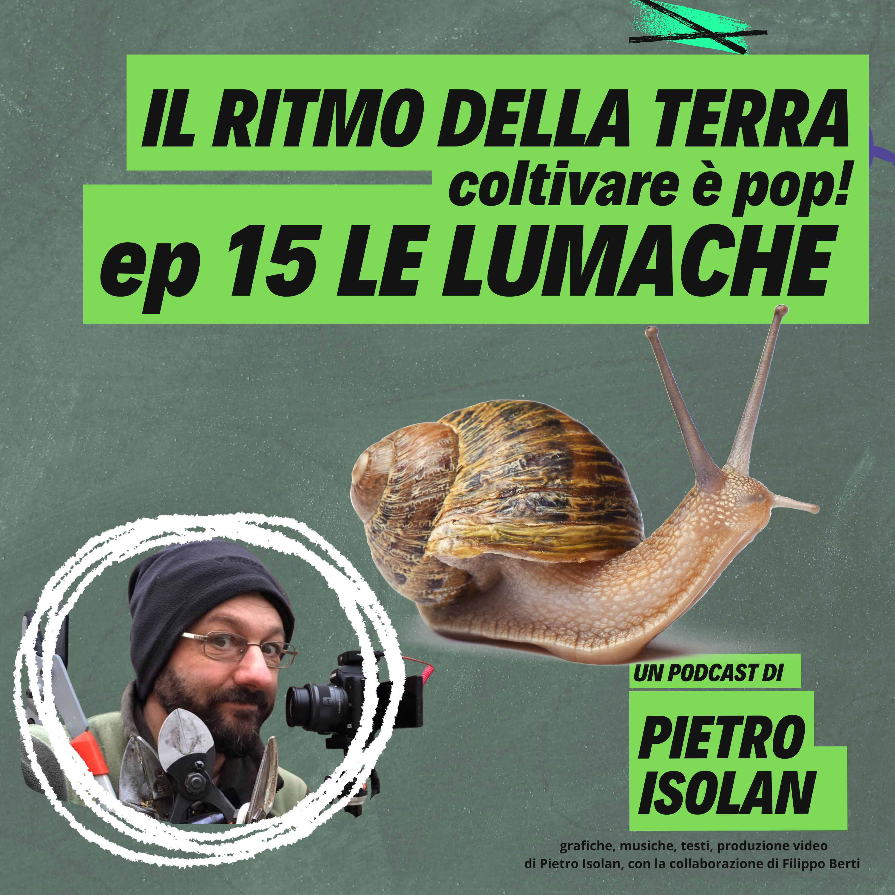LE LUMACHE - il ritmo della terra - coltivare è pop! ep 15