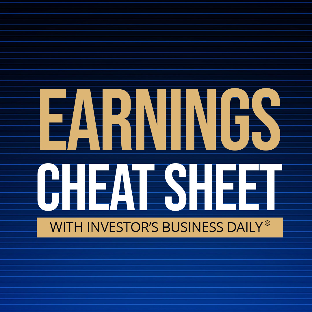 This AI Energy Play Surged 150% In 2024. Can Earnings Growth Keep Up?