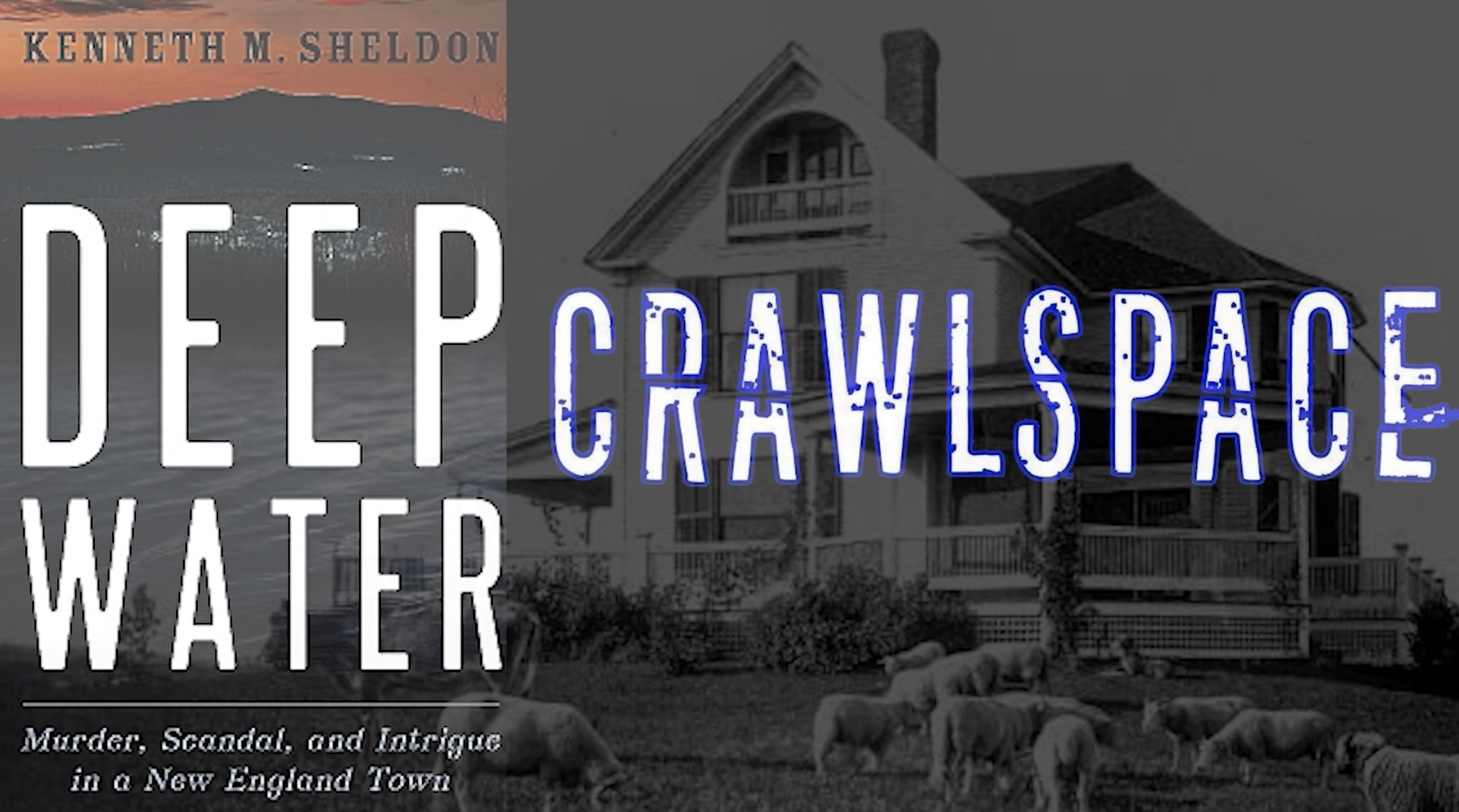 Crawlspace - True Crime & Mysteries