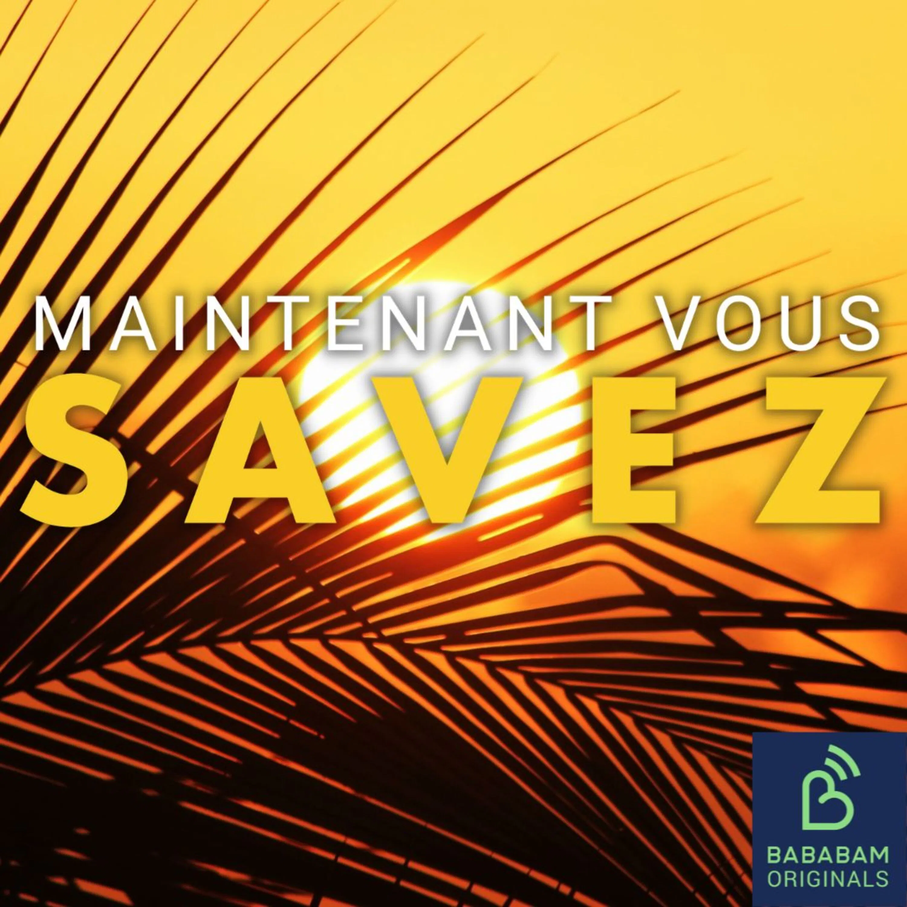 Qu’est-ce qu’un soleil artificiel ?