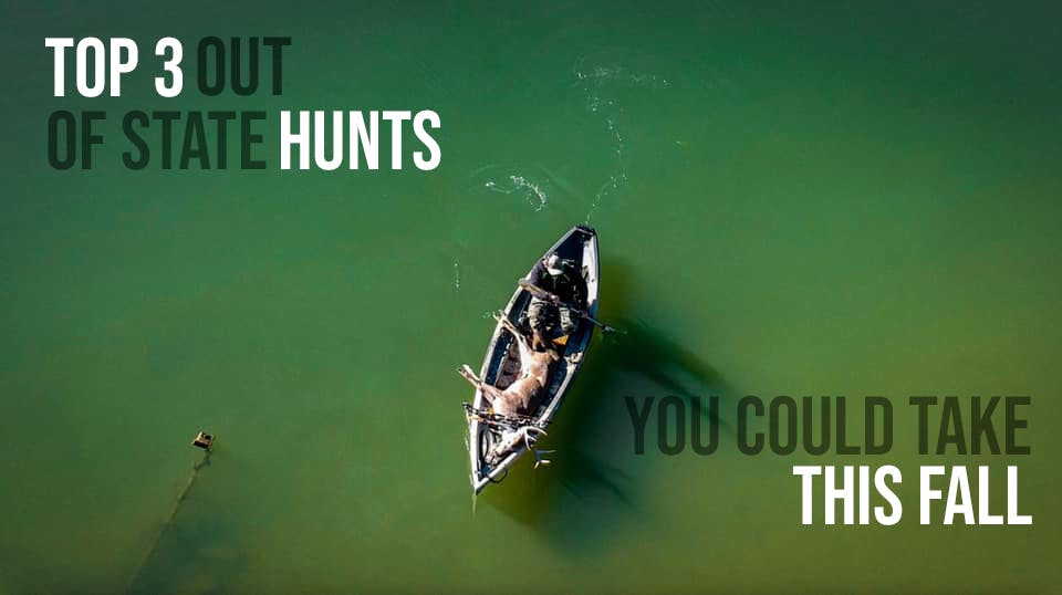 Where to Travel for Whitetails this Season! episode artwork
