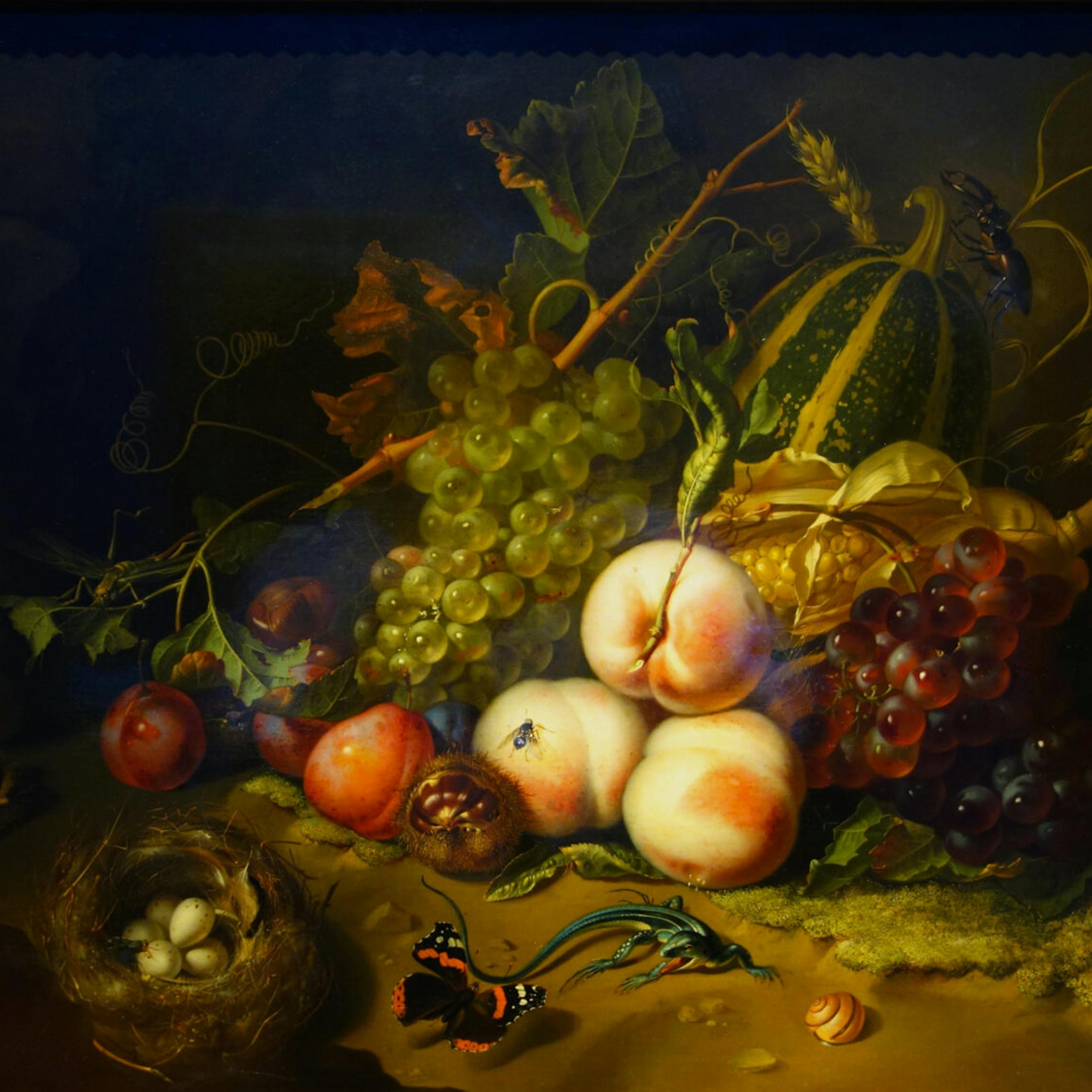 Rachel Ruysch | Fruit and Insects