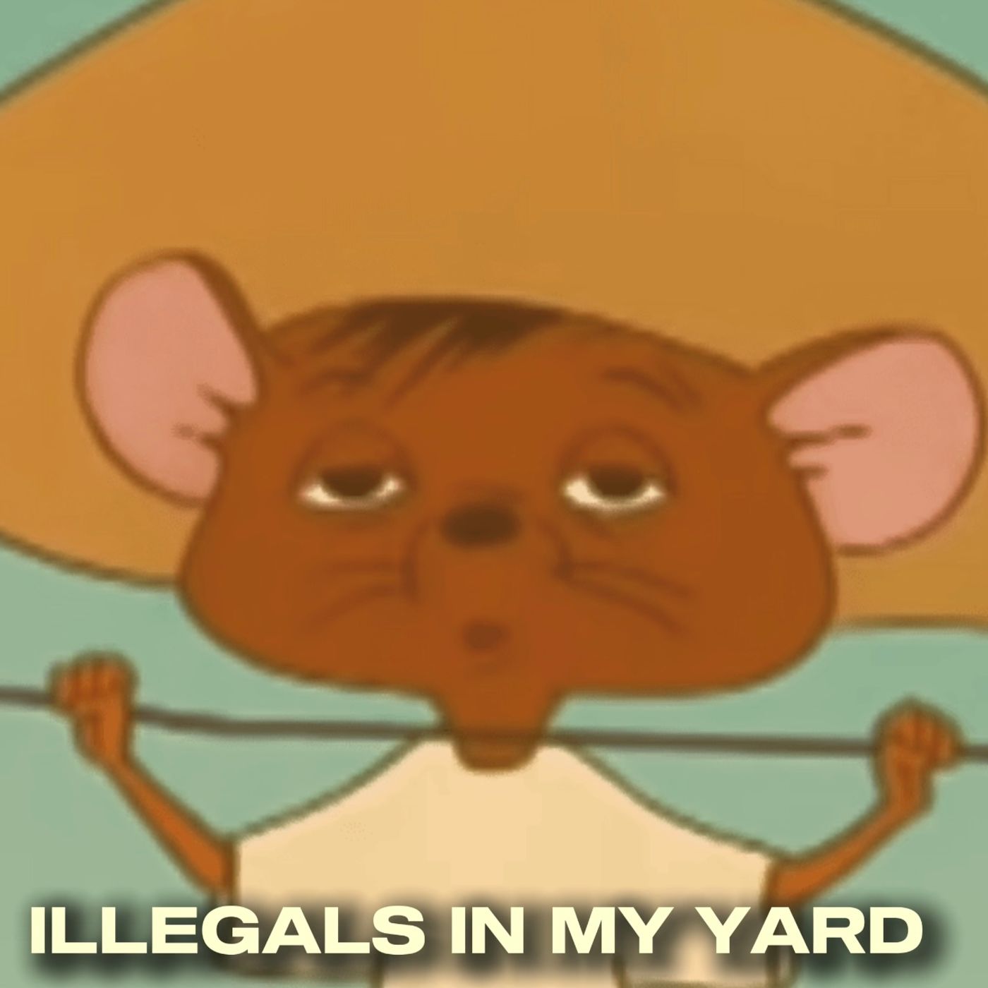 ILLEGALS IN MY YARD episode artwork