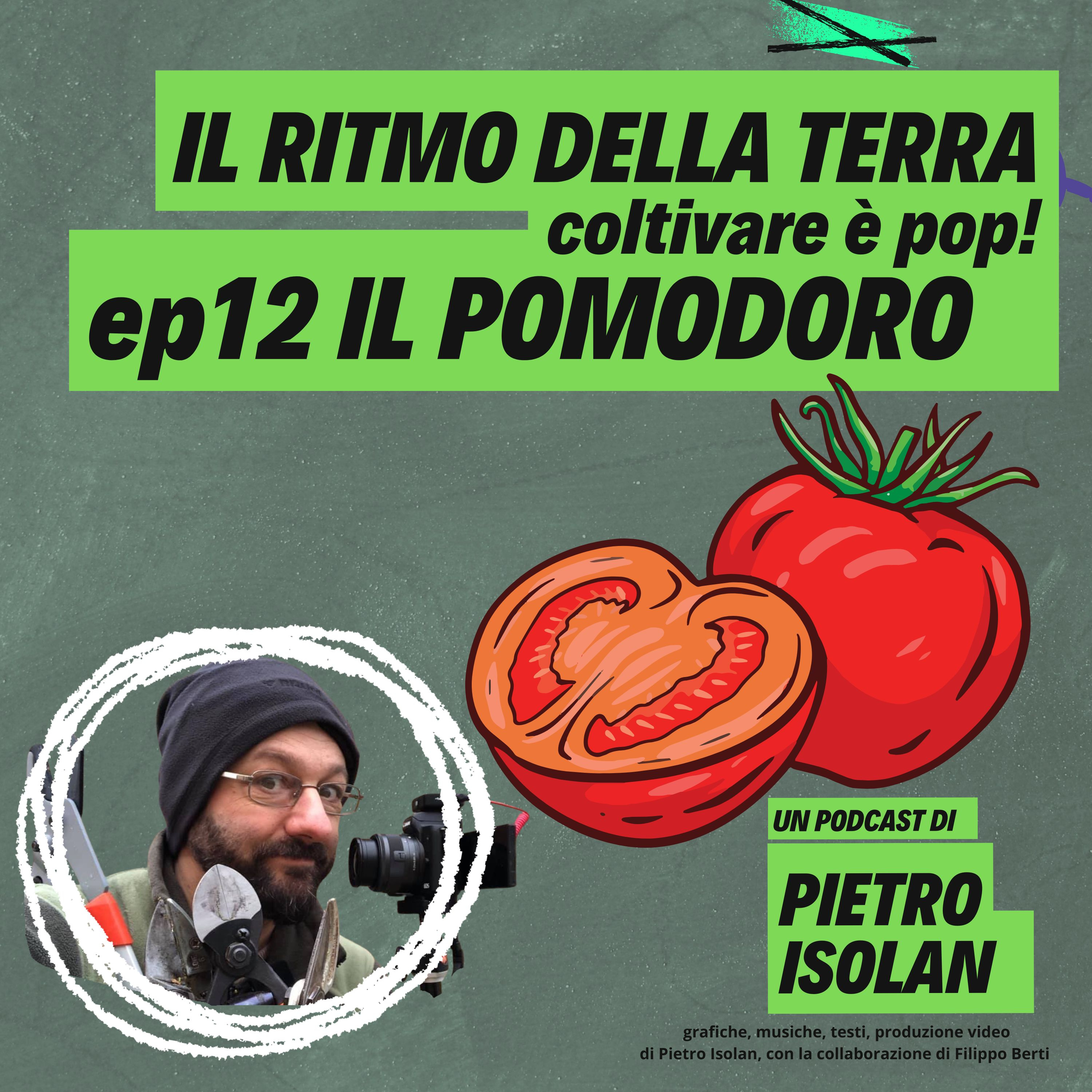 IL POMODORO - il ritmo della terra- coltivare è pop! ep 14