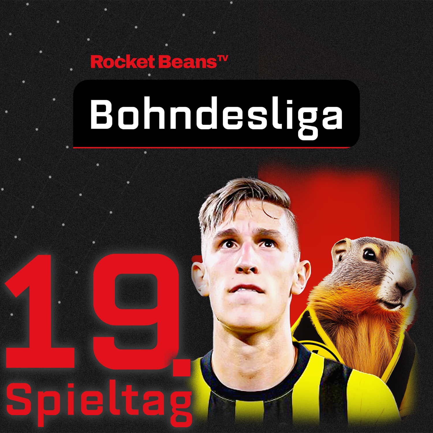 19. Spieltag: Und täglich grüßt das GELB-SCHWARZE MURMELTIER! | Saison 2024/25