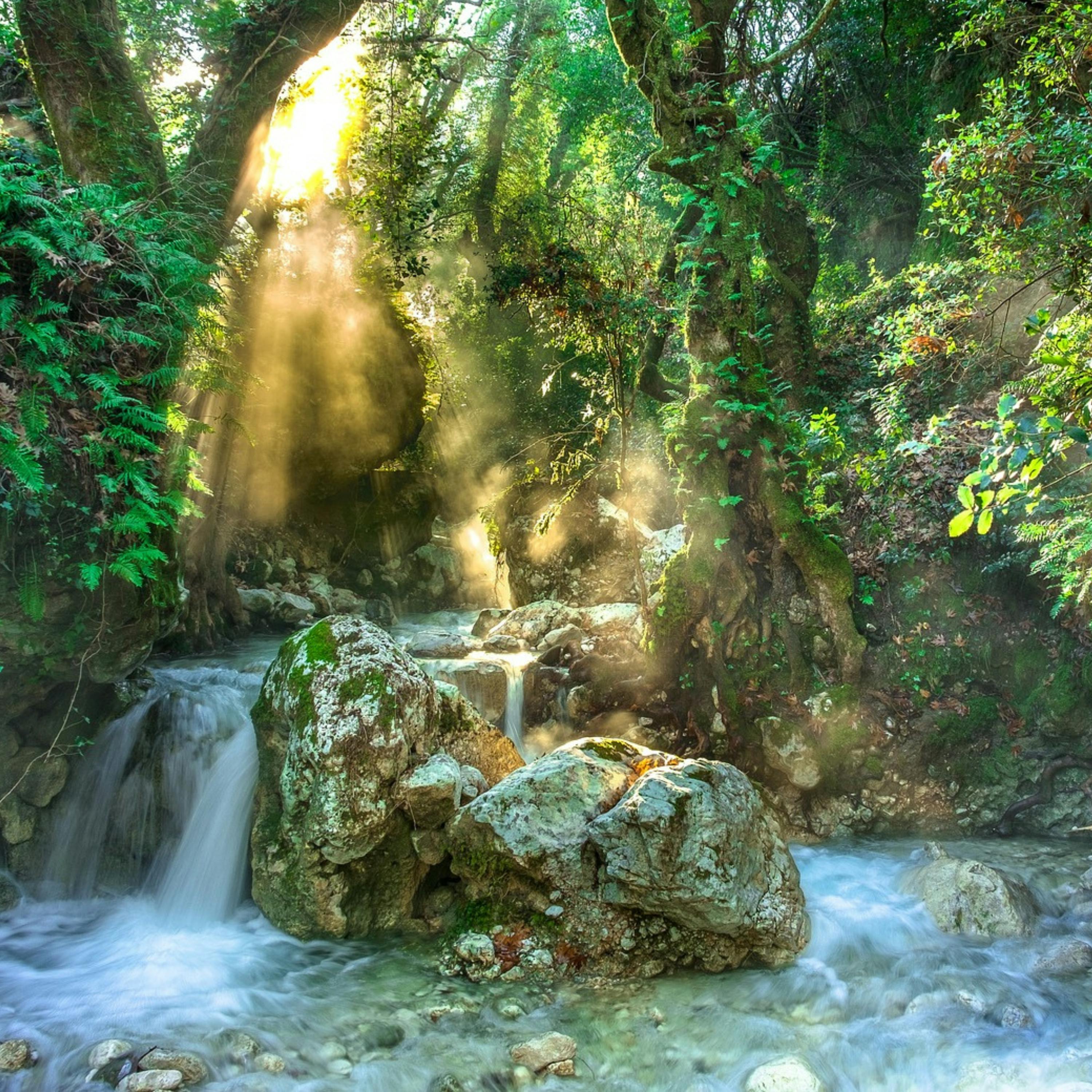 MÚSICA Suave y Sonido del AGUA: Revitaliza tu Salud Mental mientras DUERMES episode artwork