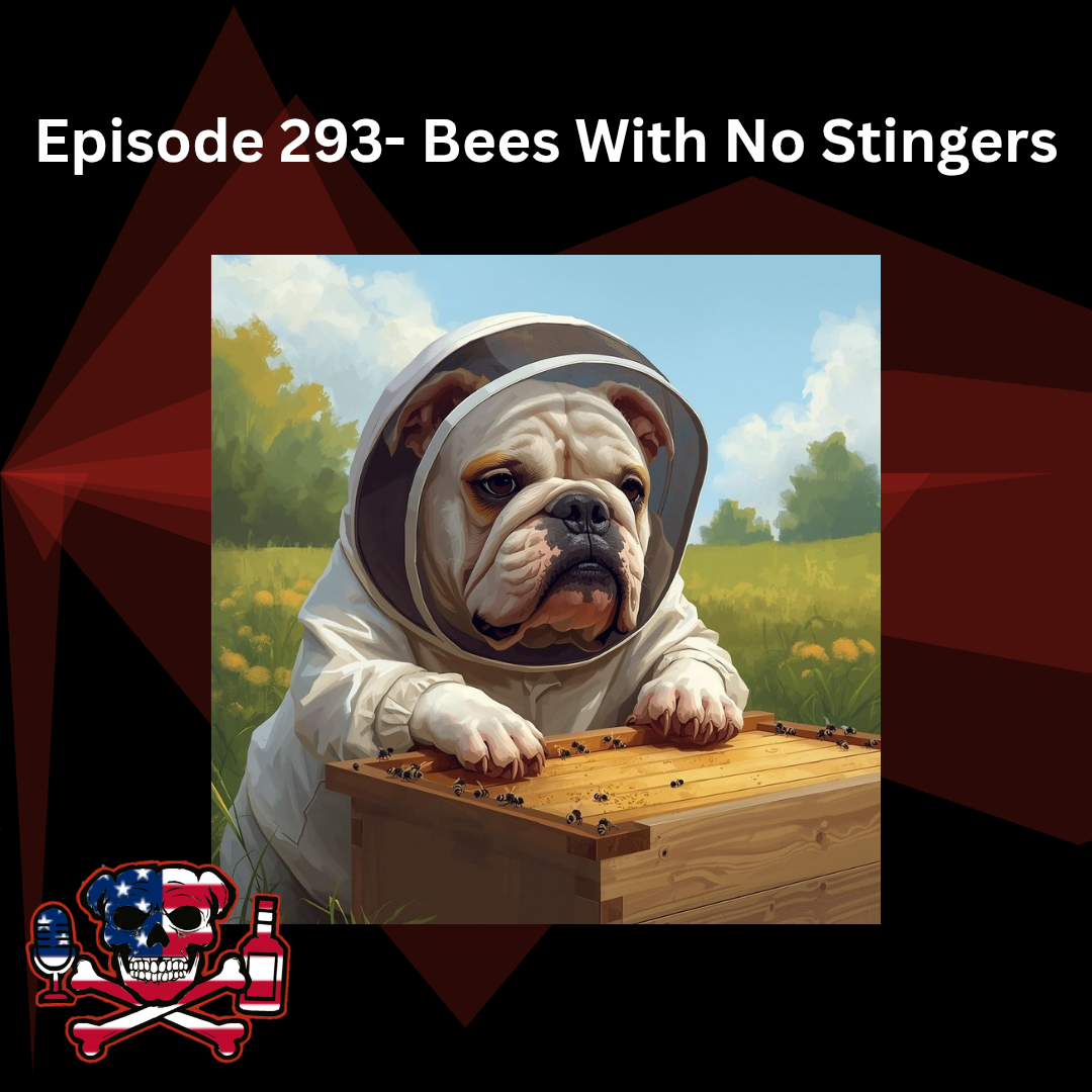 Episode 293- Bees With No Stingers episode artwork