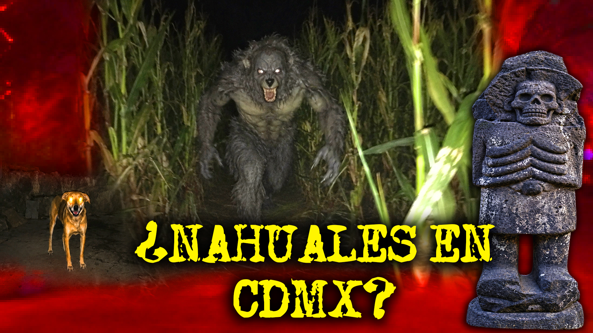 ¡TEN CUIDADO CON LOS NAHUALES!