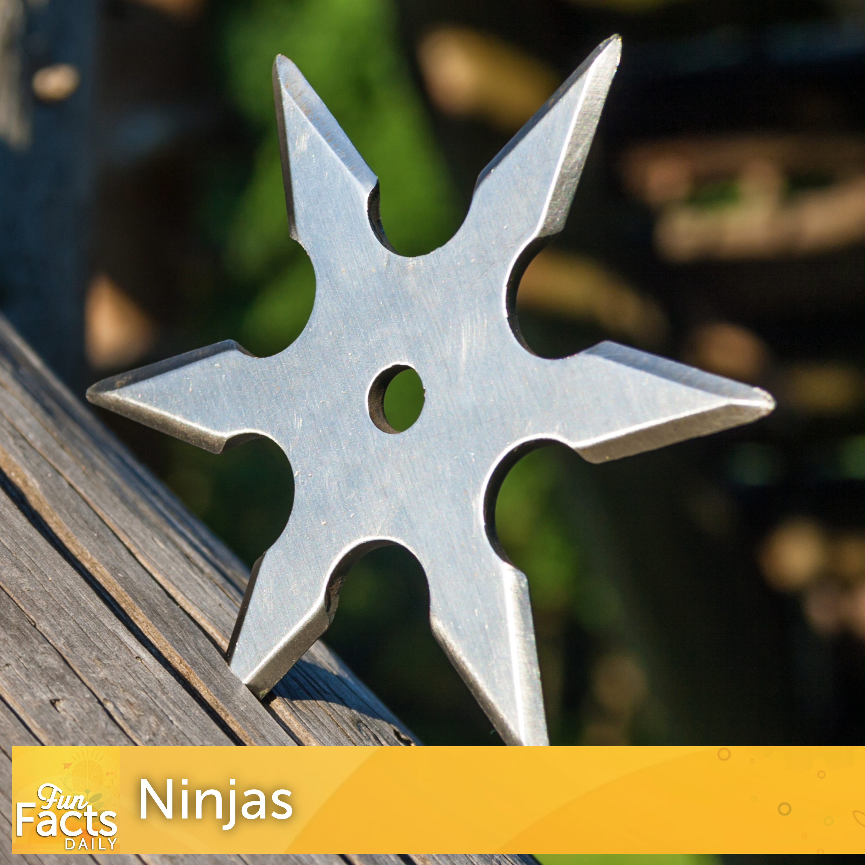 Fun Facts About Ninjas