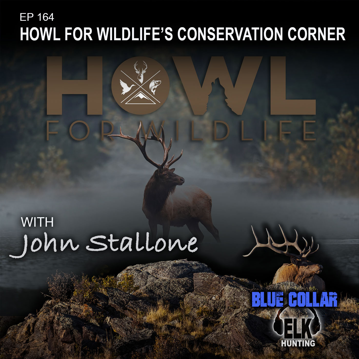 EP 164: HOWL for Wildlife's Conservation Corner - June 22 episode artwork