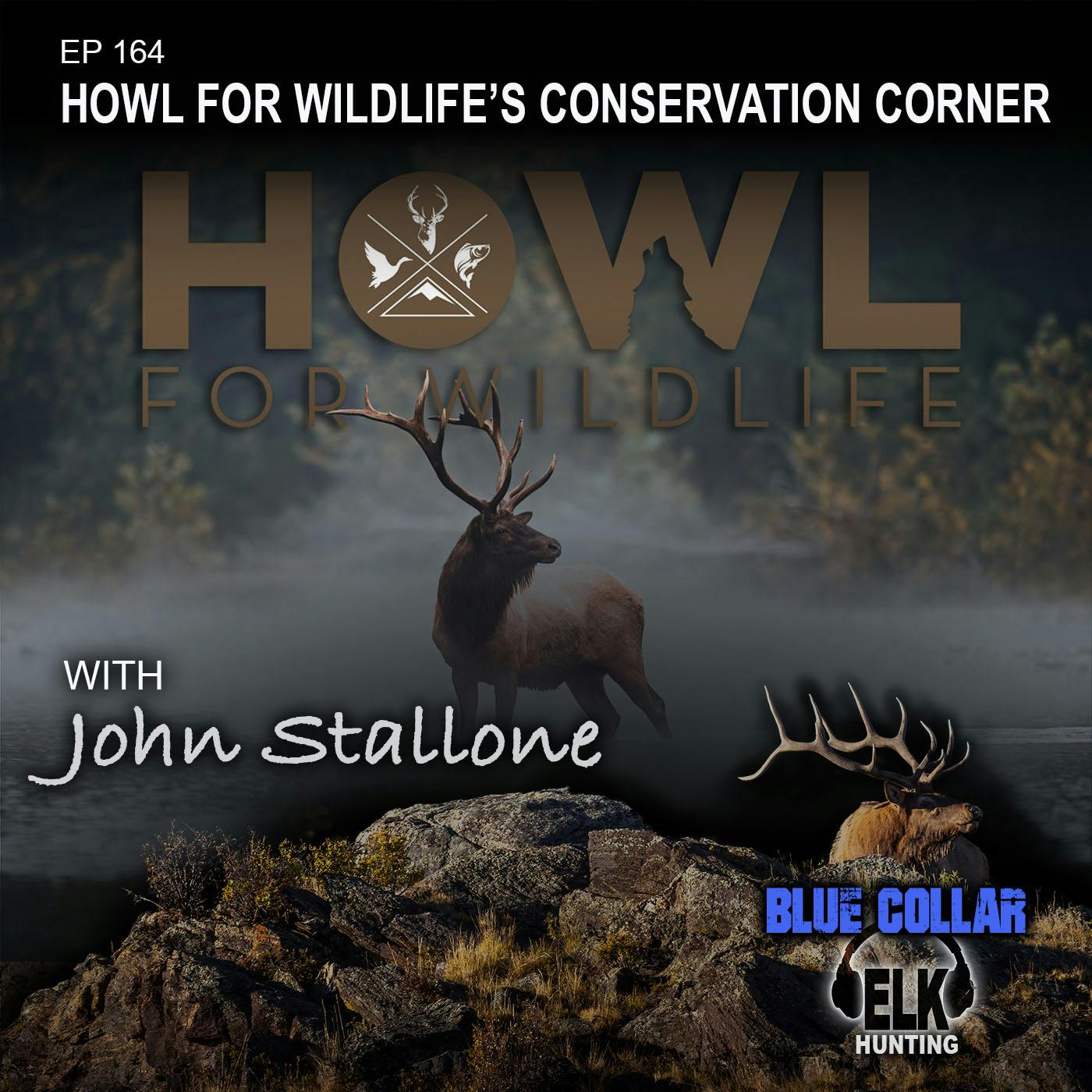 EP 164: HOWL for Wildlife's Conservation Corner - June 22