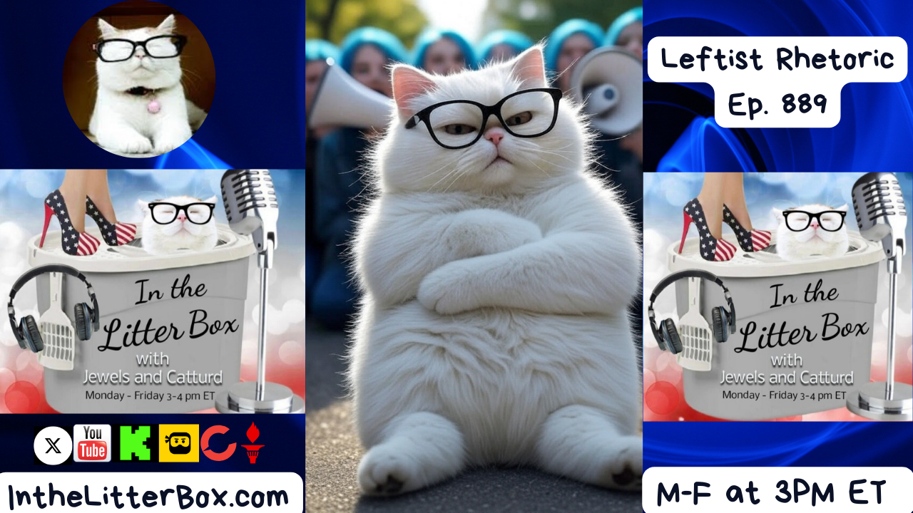 Leftist Rhetoric | In the Litter Box w/ Jewels & Catturd – Ep. 889 – 9/25/2025