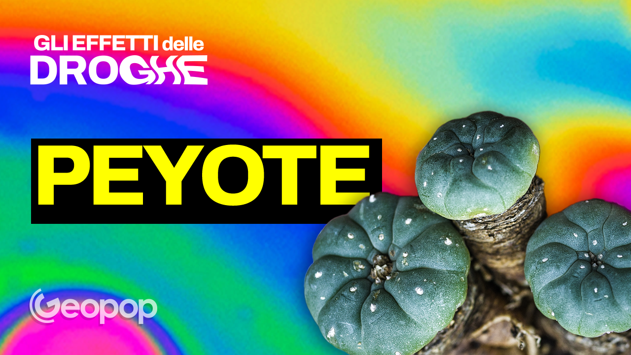 EP. 16 - Peyote e allucinazioni: la verità scientifica sul cactus psichedelico