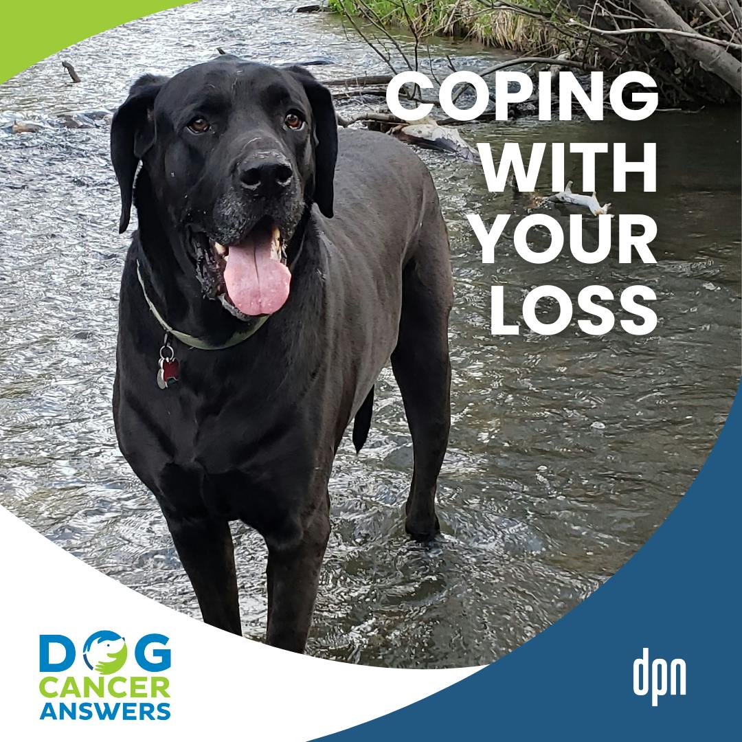 Coping with the Loss of a Dog: Vet Shares Emotional Story of Her Hardest Goodbye | Dr. Adrienne Anderson #293 Coping with the Loss of a Dog: Vet Shares Emotional Story of Her Hardest Goodbye | Dr. Adrienne Anderson #293