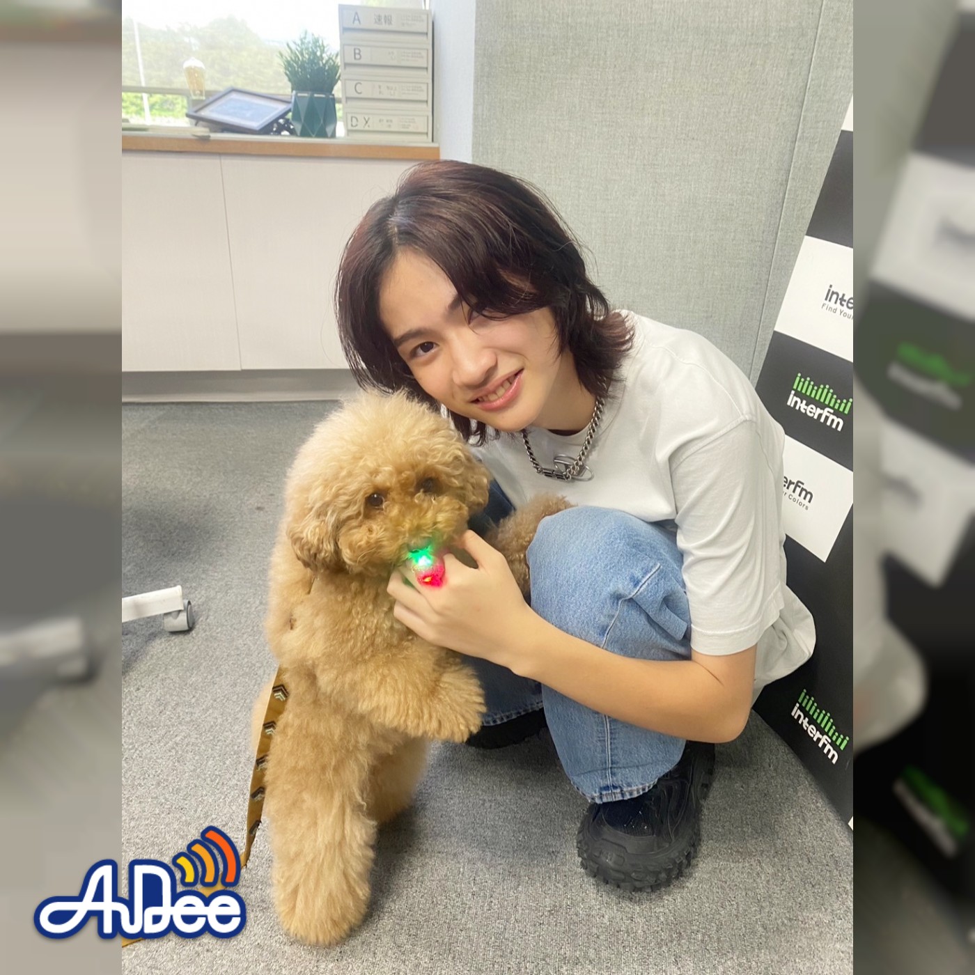 愛犬家　俳優 市村優汰さん ２週目の登場！mapiの愛犬テコが優汰さんを独占 episode artwork