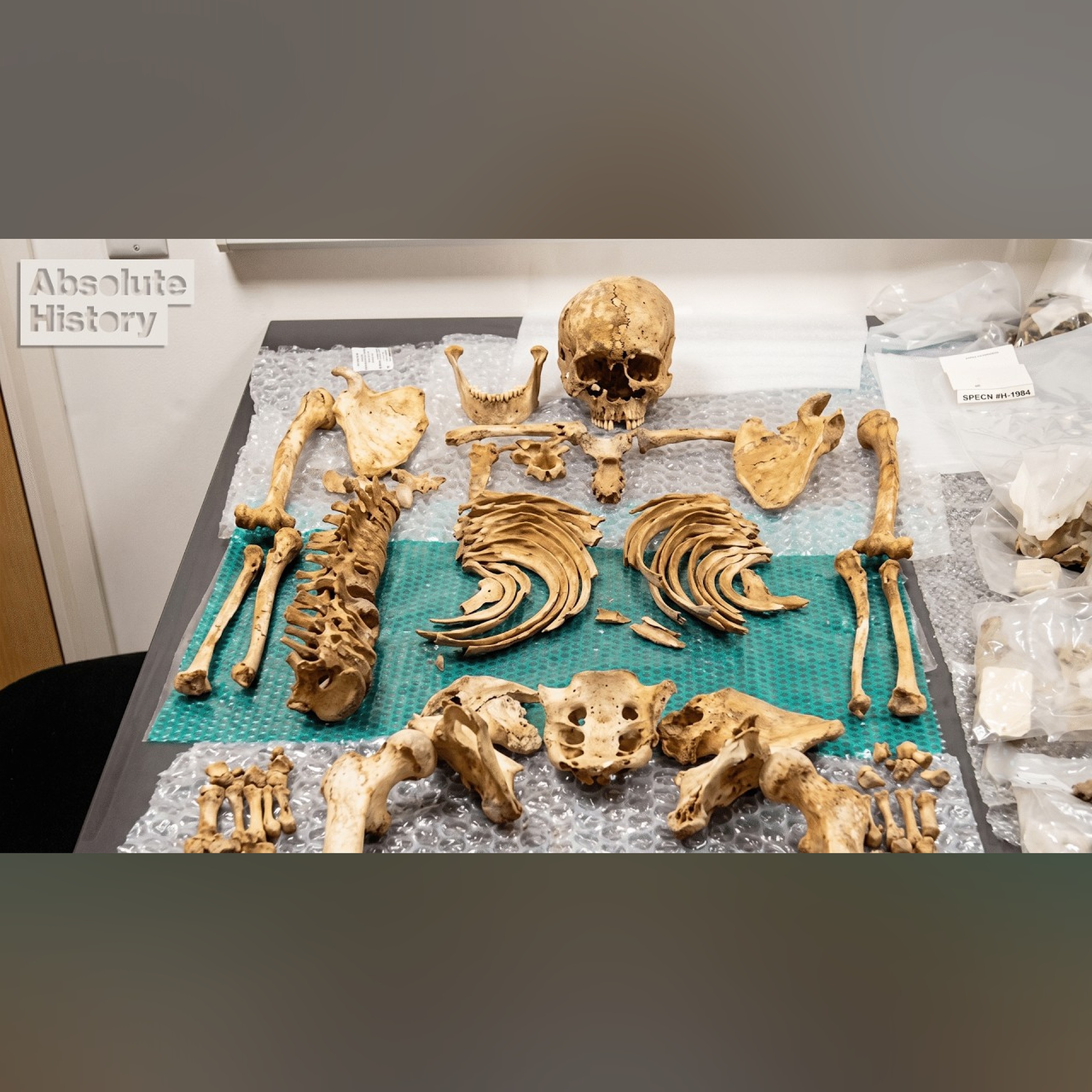 What Did The First Europeans Actually Look Like?