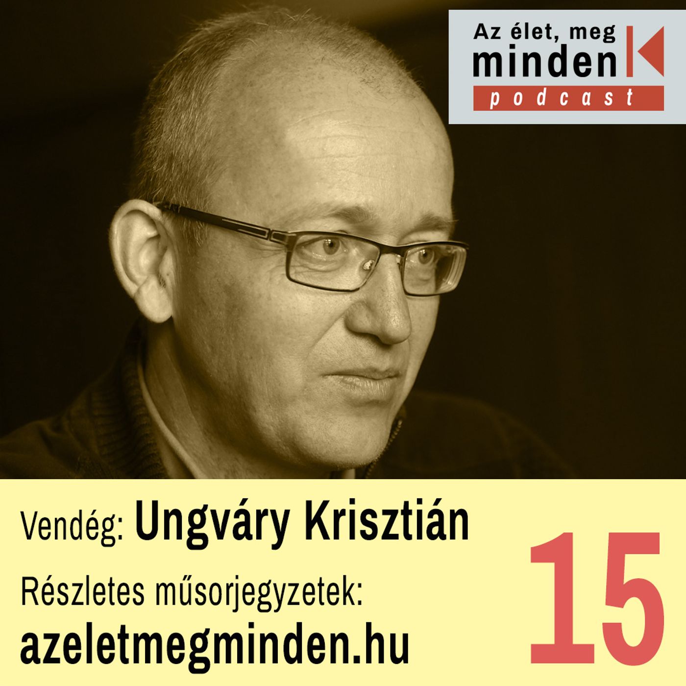 Ungváry Krisztián — Történész pergőtűzben (Ep. 015)