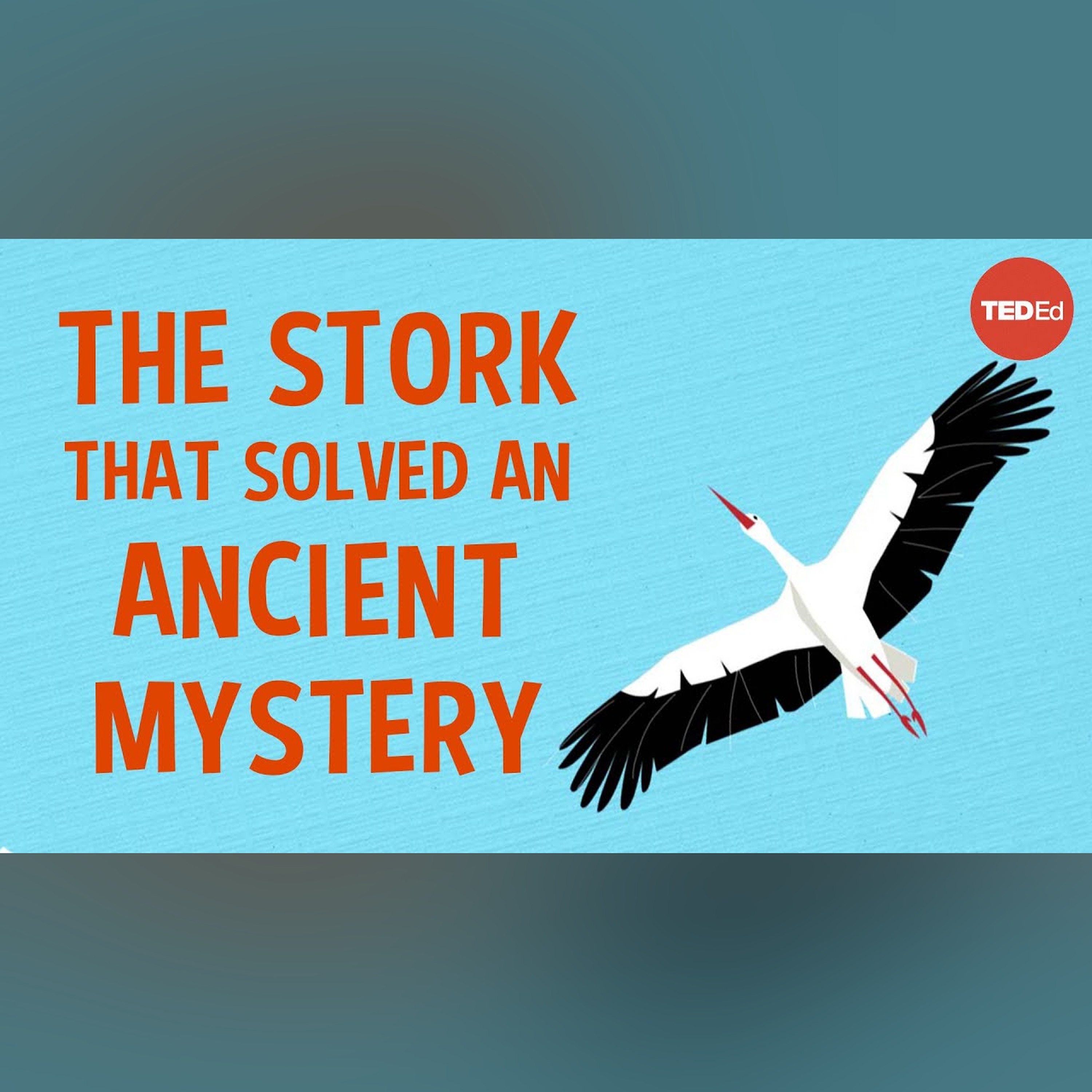 The spear-wielding stork who revolutionized science - Lucy Cooke episode artwork