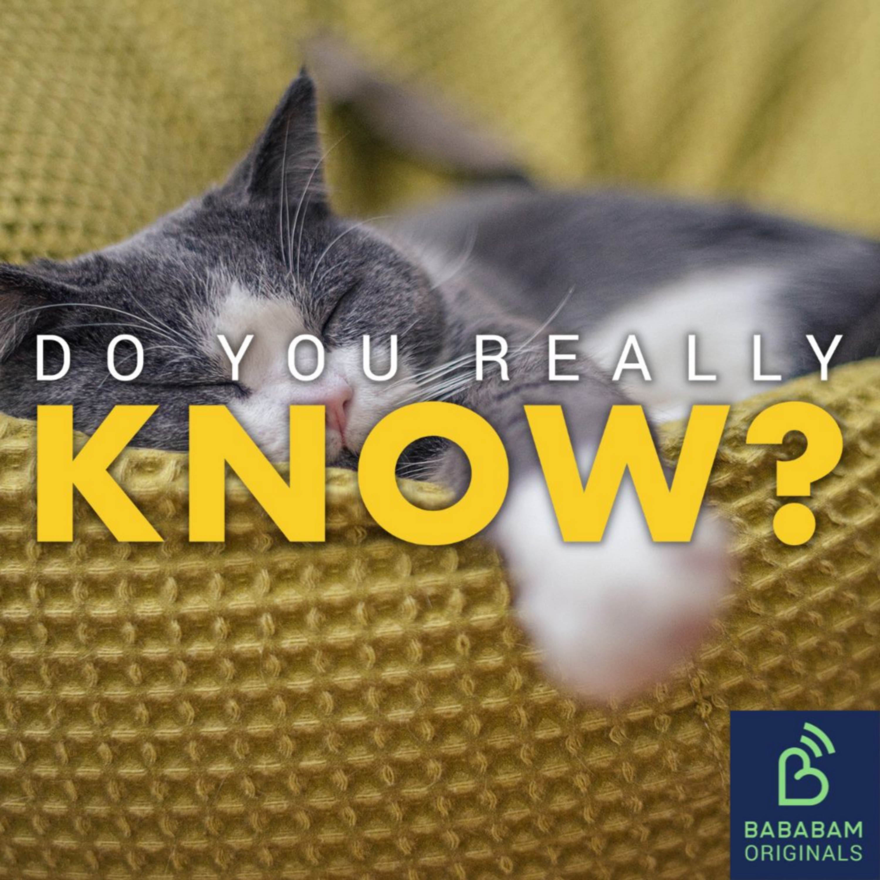 Are micro naps actually effective?