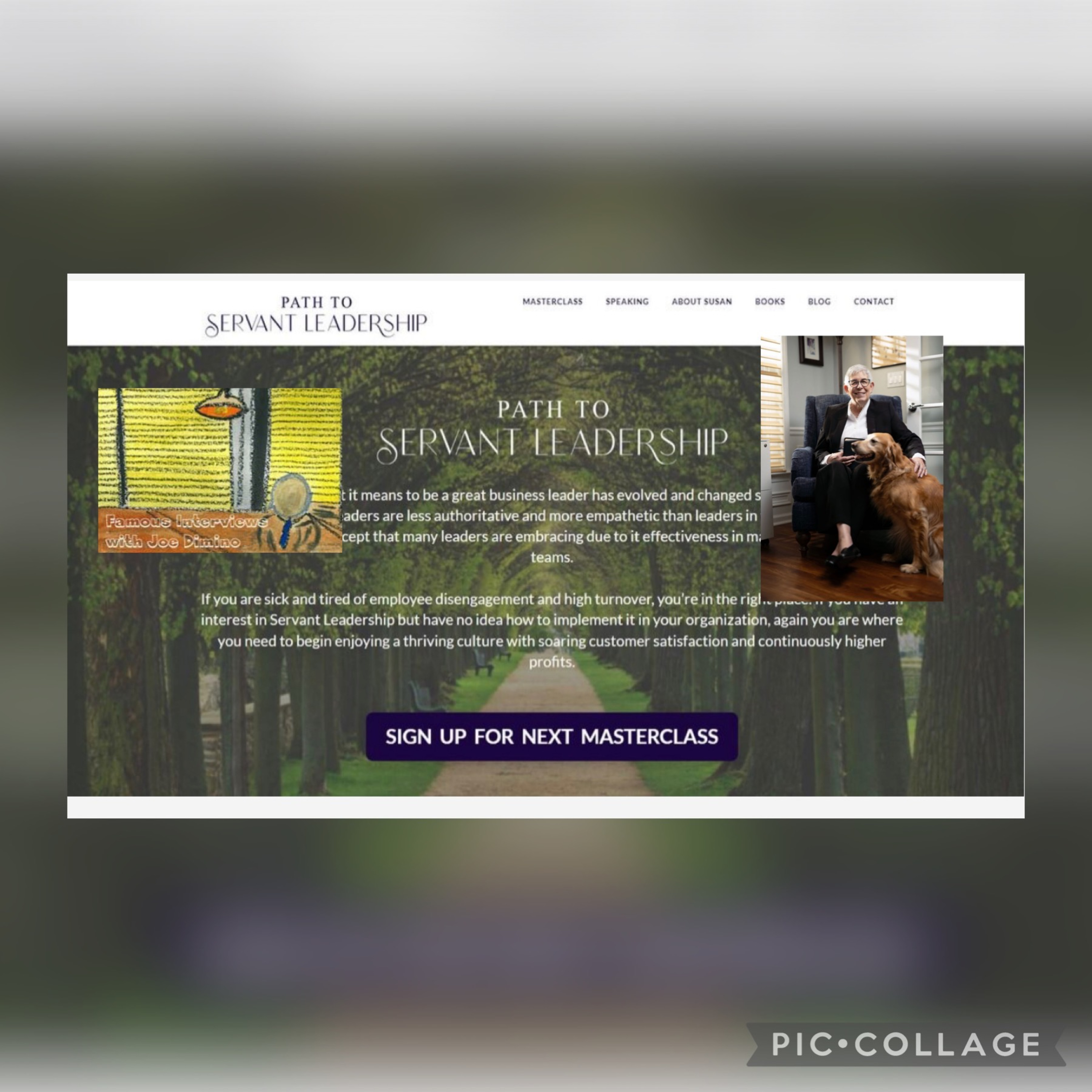 Author, Speaker & Coach Susan Anderson episode artwork