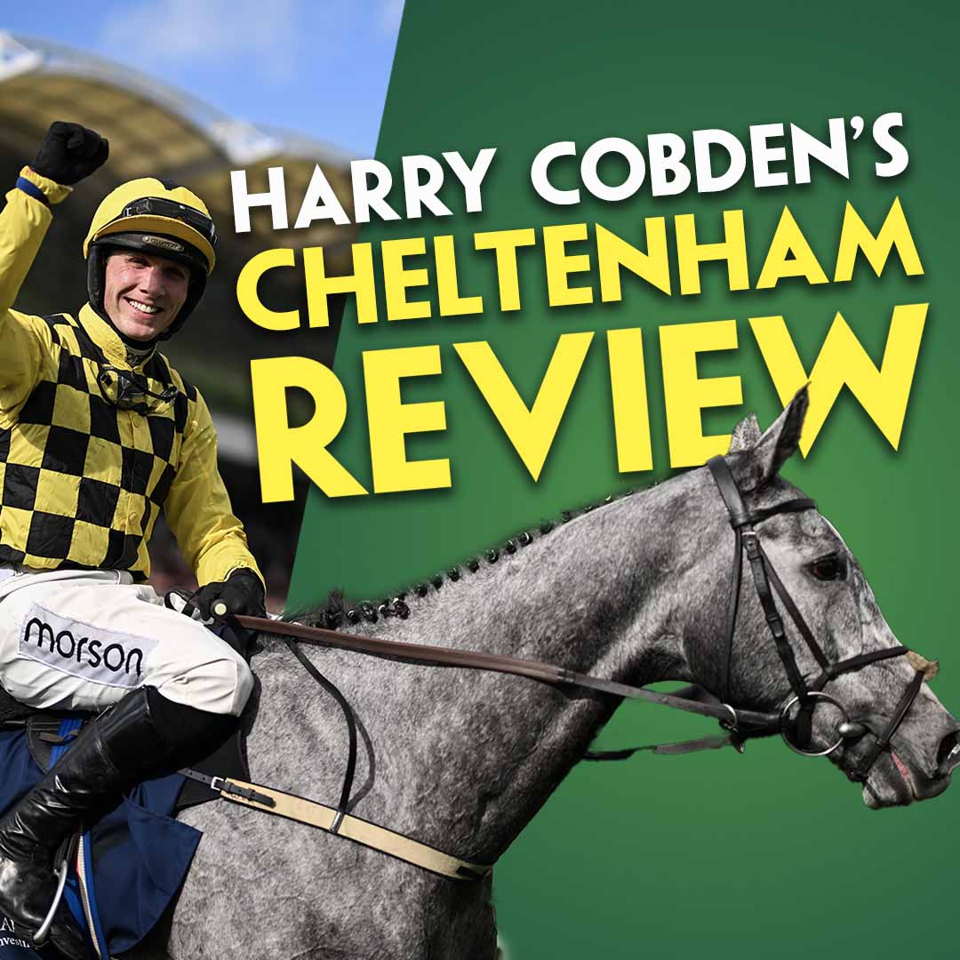 HARRY COBDEN'S CHELTENHAM REVIEW | Newbury Weekend Preview | "He's better than what we've seen"