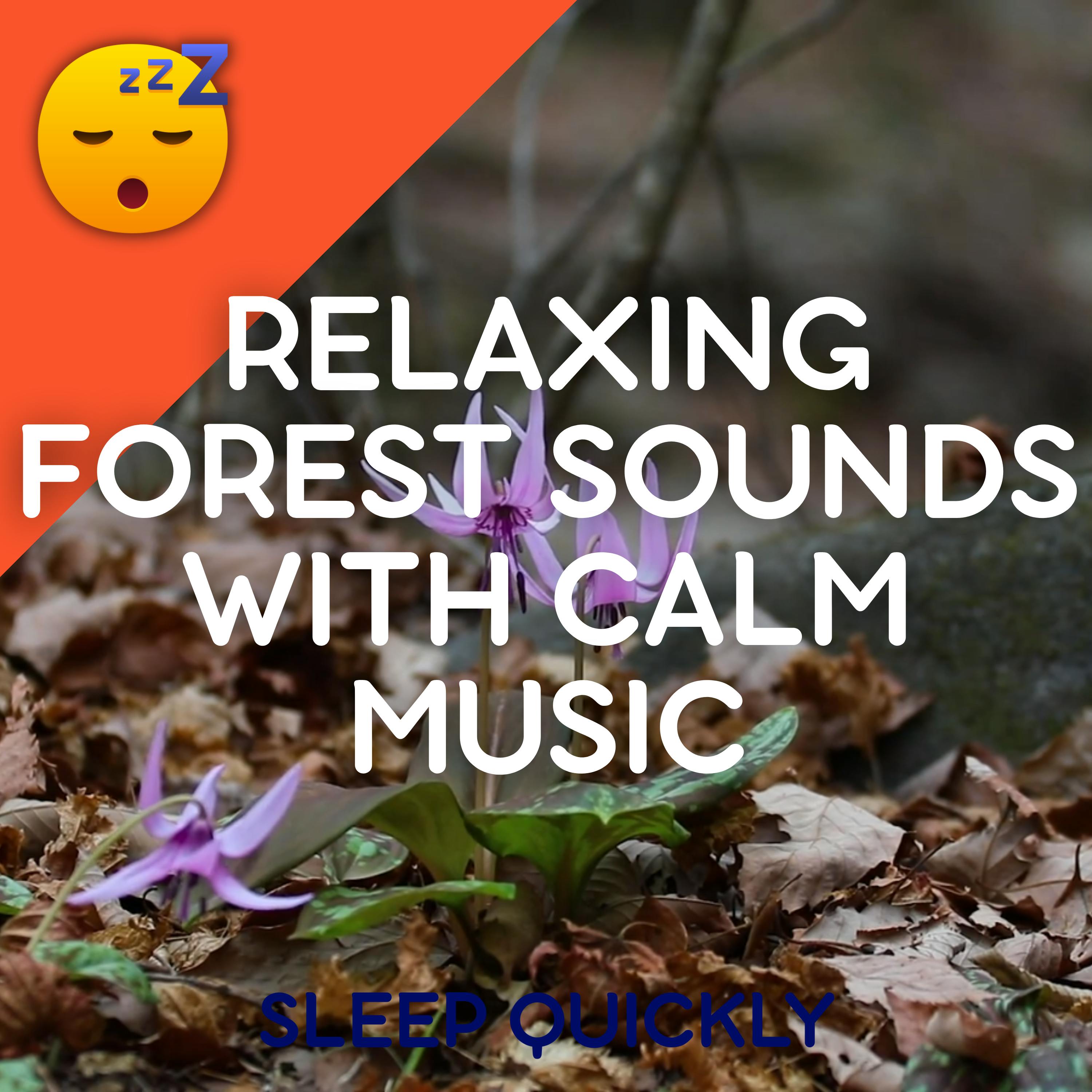 🎵🍂😴 Relaxing FOREST Sounds with Calm MUSIC for Deep SLEEP episode artwork