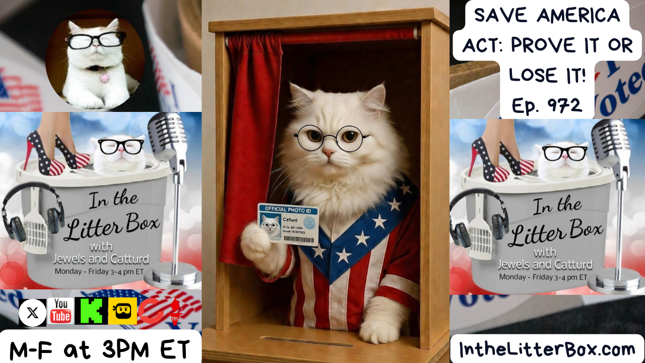 SAVE AMERICA ACT: PROVE IT OR LOSE IT! | In the Litter Box w/ Jewels Jones & Catturd – Ep. 972 – 2/18/2026