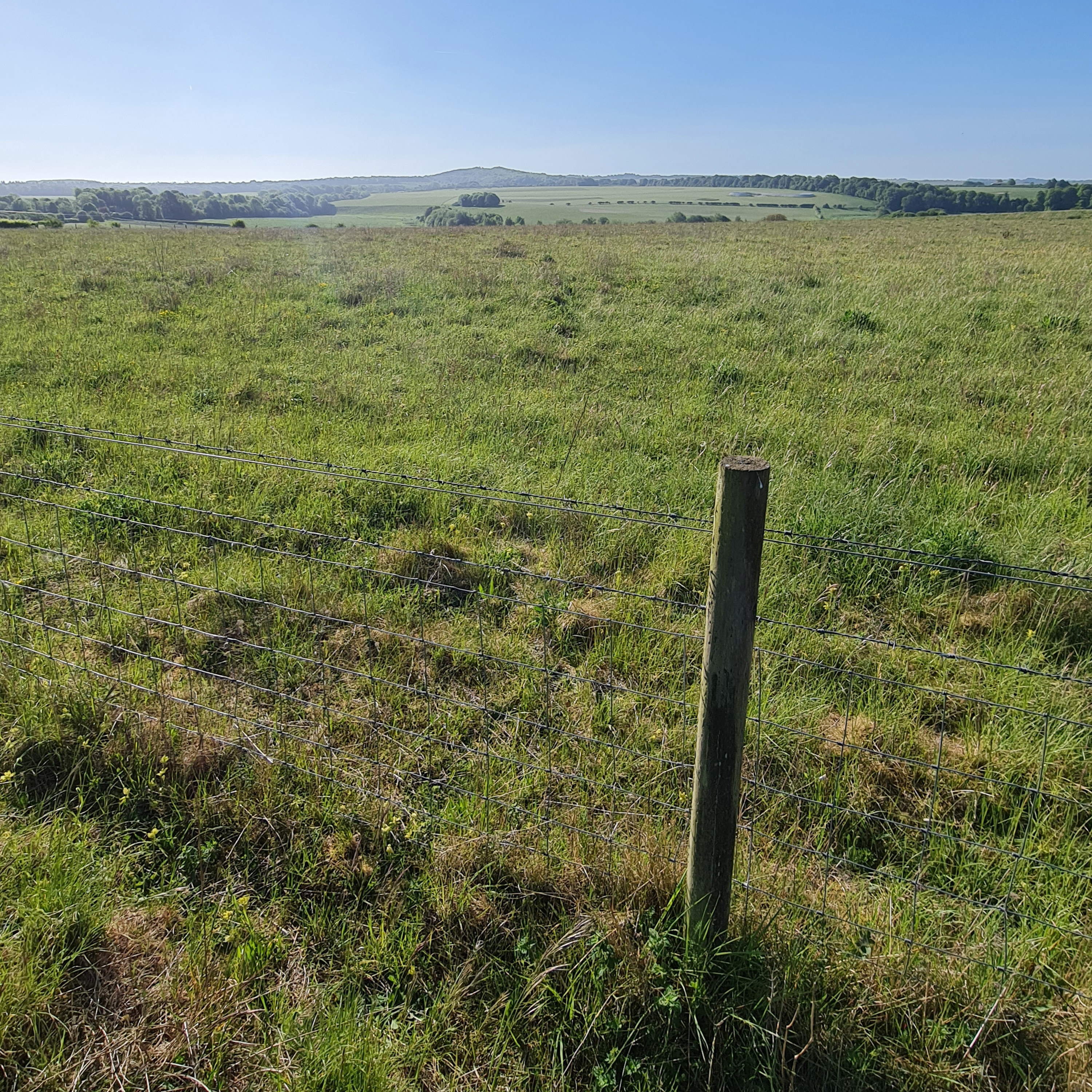 Sound Escape 225. Skylarks and corn buntings on a Wiltshire downland
