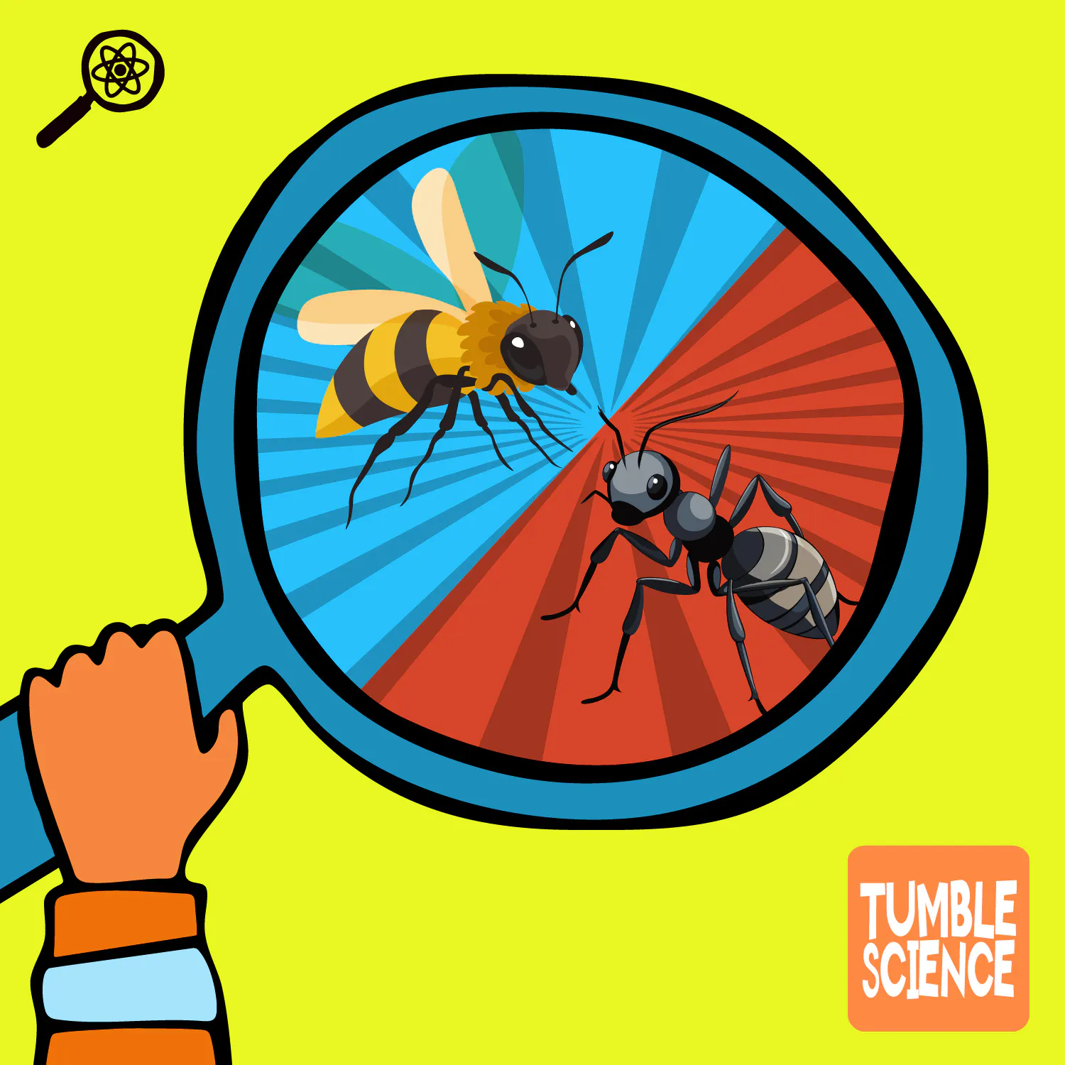 Who Works Harder: Ants or Bees? episode artwork